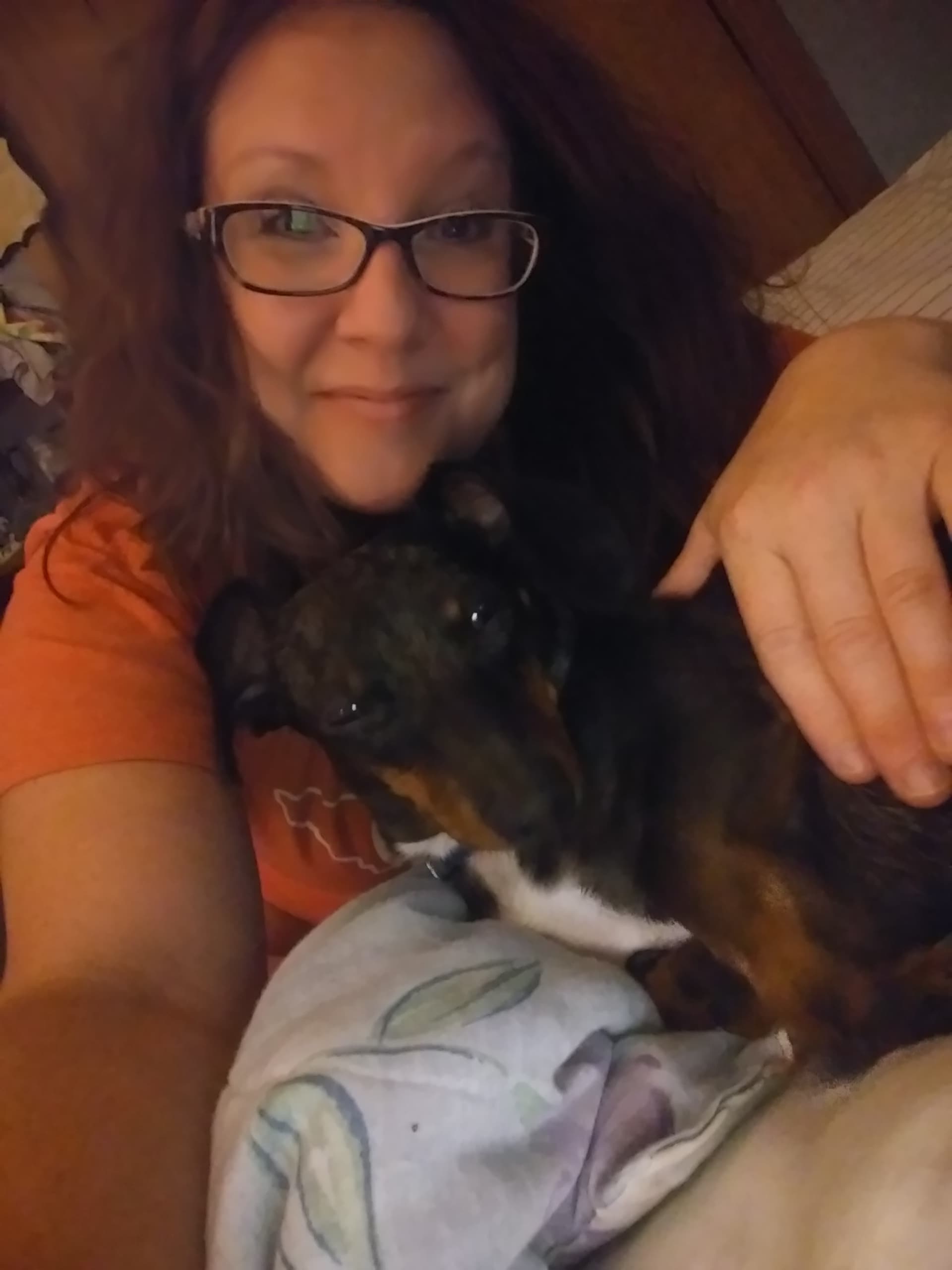Roscoe, back home in Sevierville/Gatlinburg TN