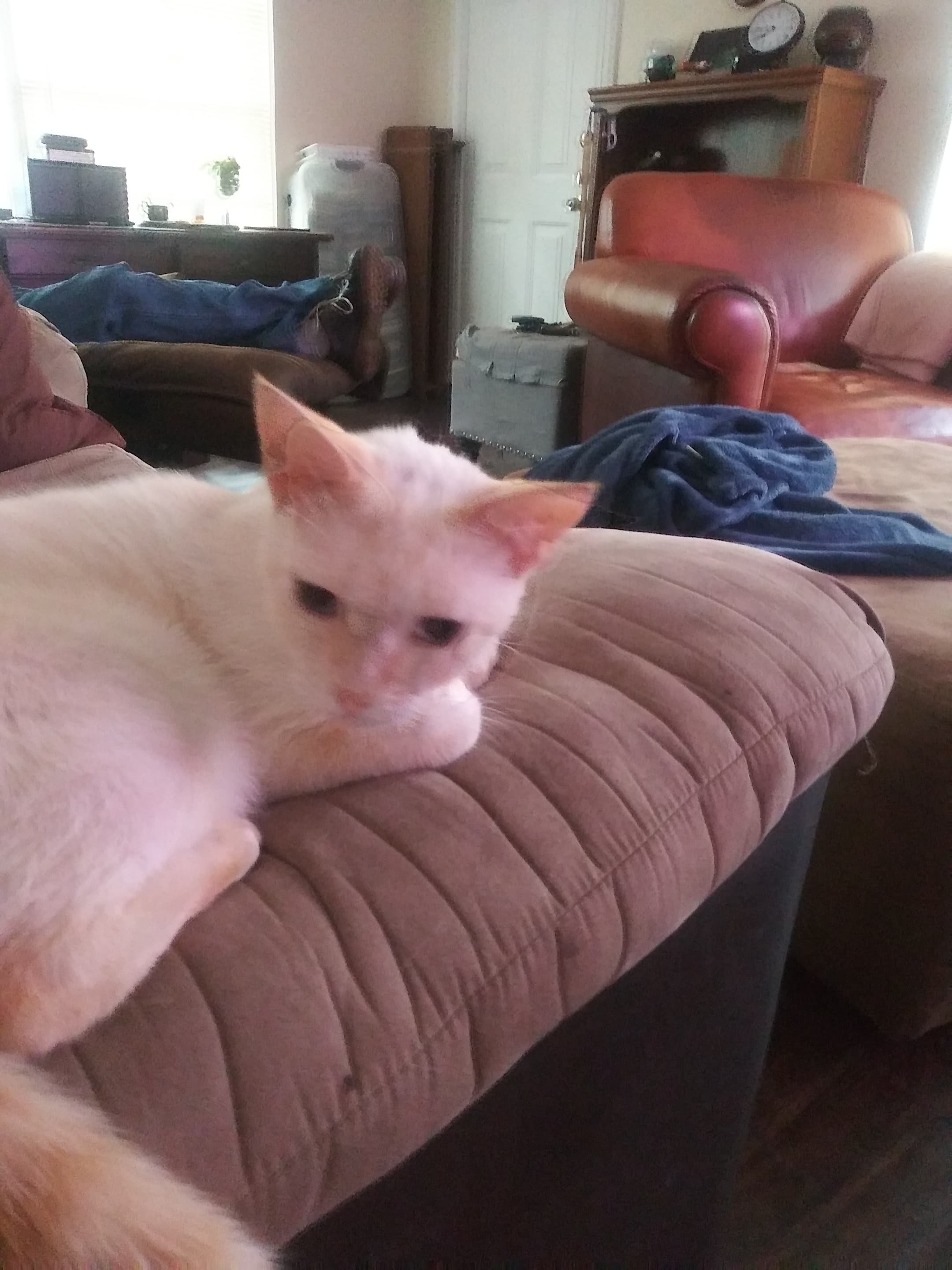 Sid, back home in Texas City TX