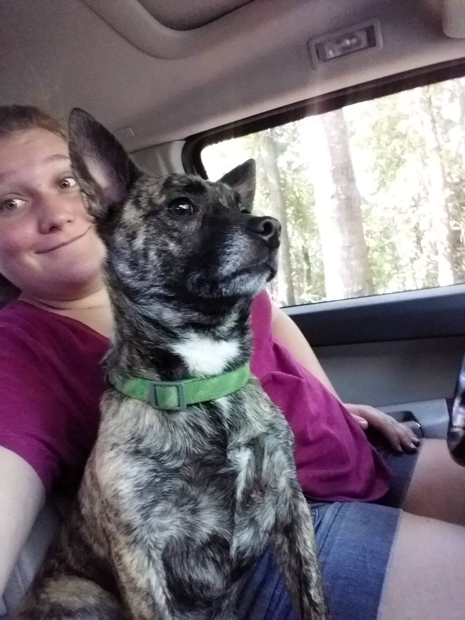 Gizzmo, back home in Saint Pauls NC