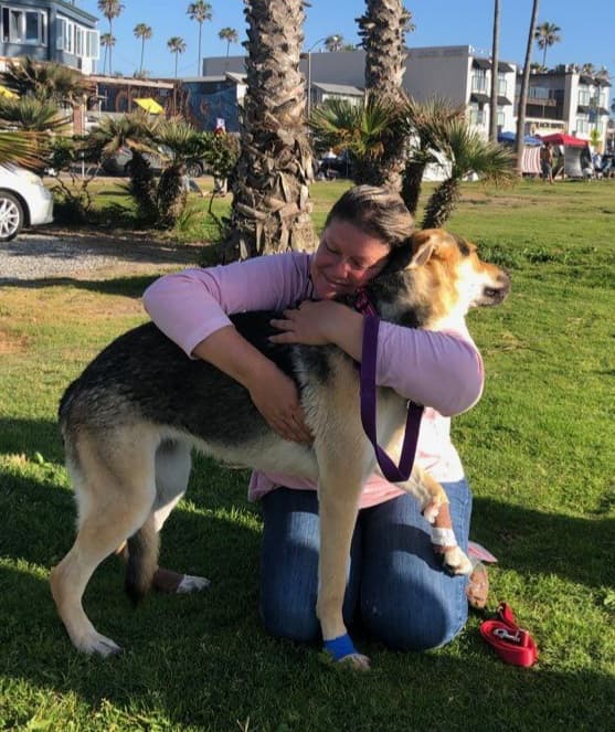 Bailey, back home in California
