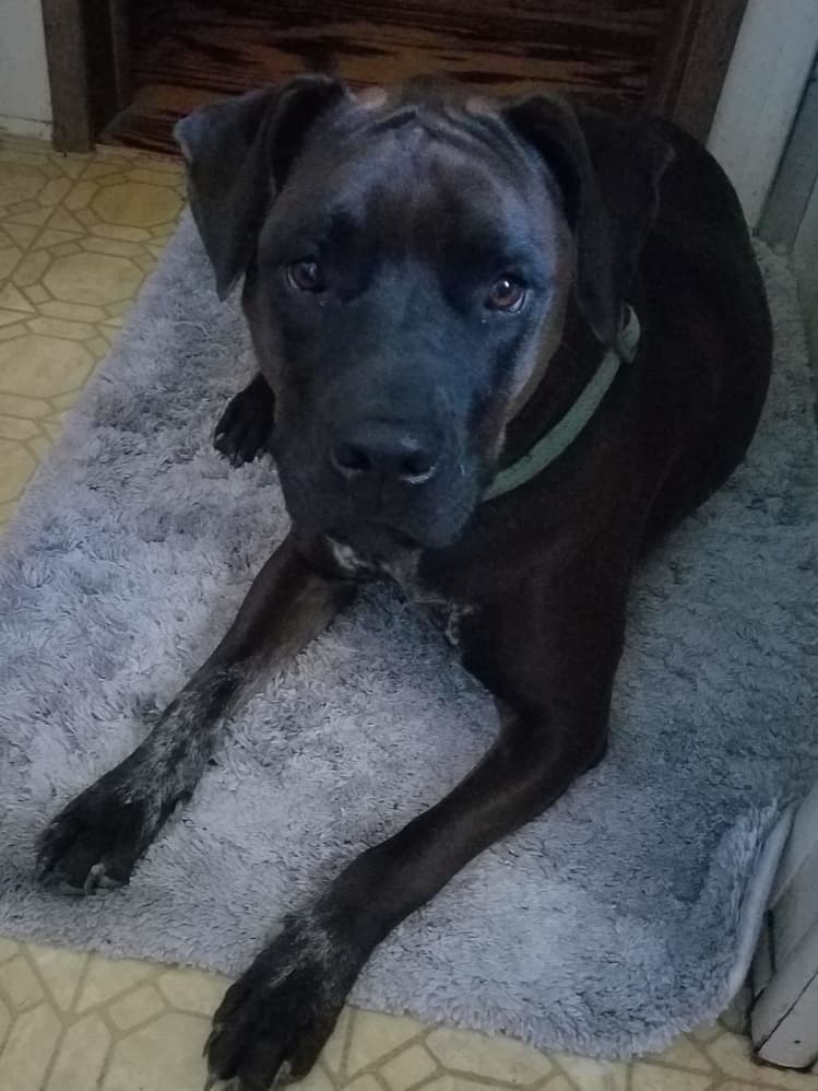Chloe, back home in South Carolina