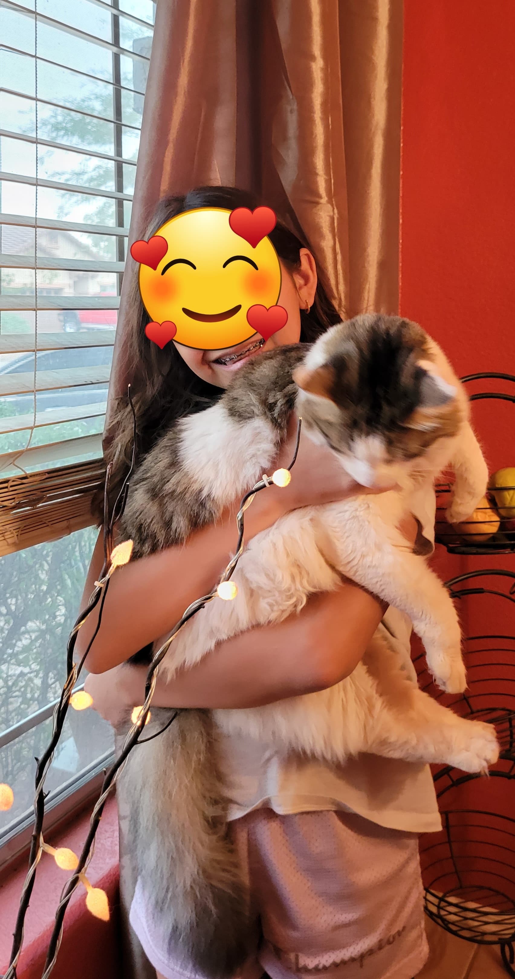 Mr Whiskers, back home in Arizona