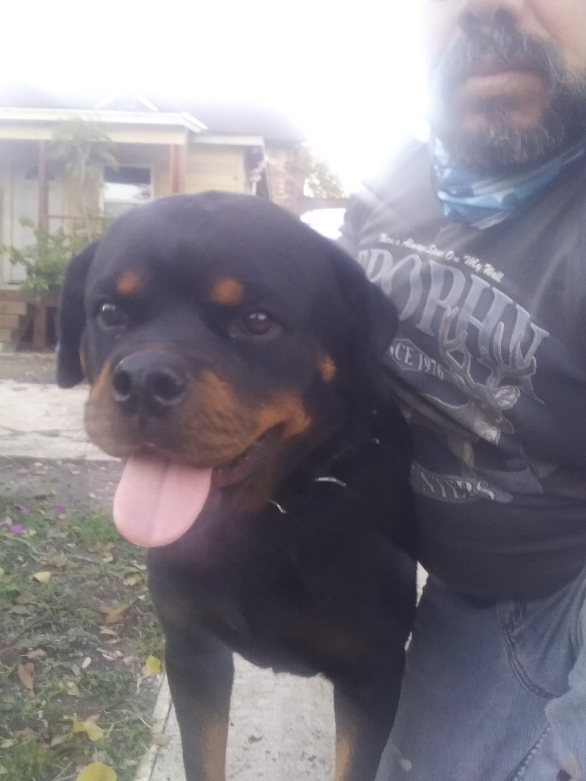Gunda, back home in Texas