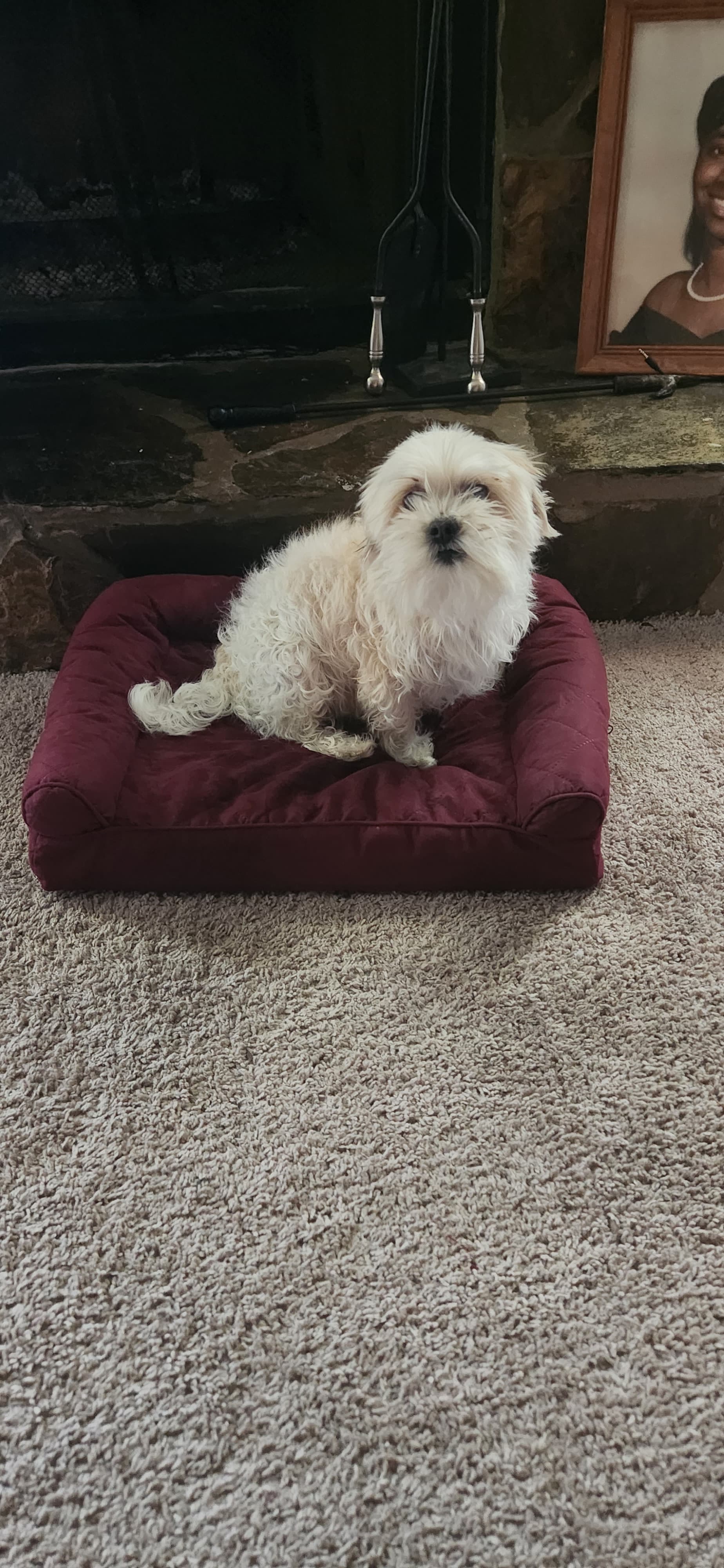 Misti, back home in Georgia