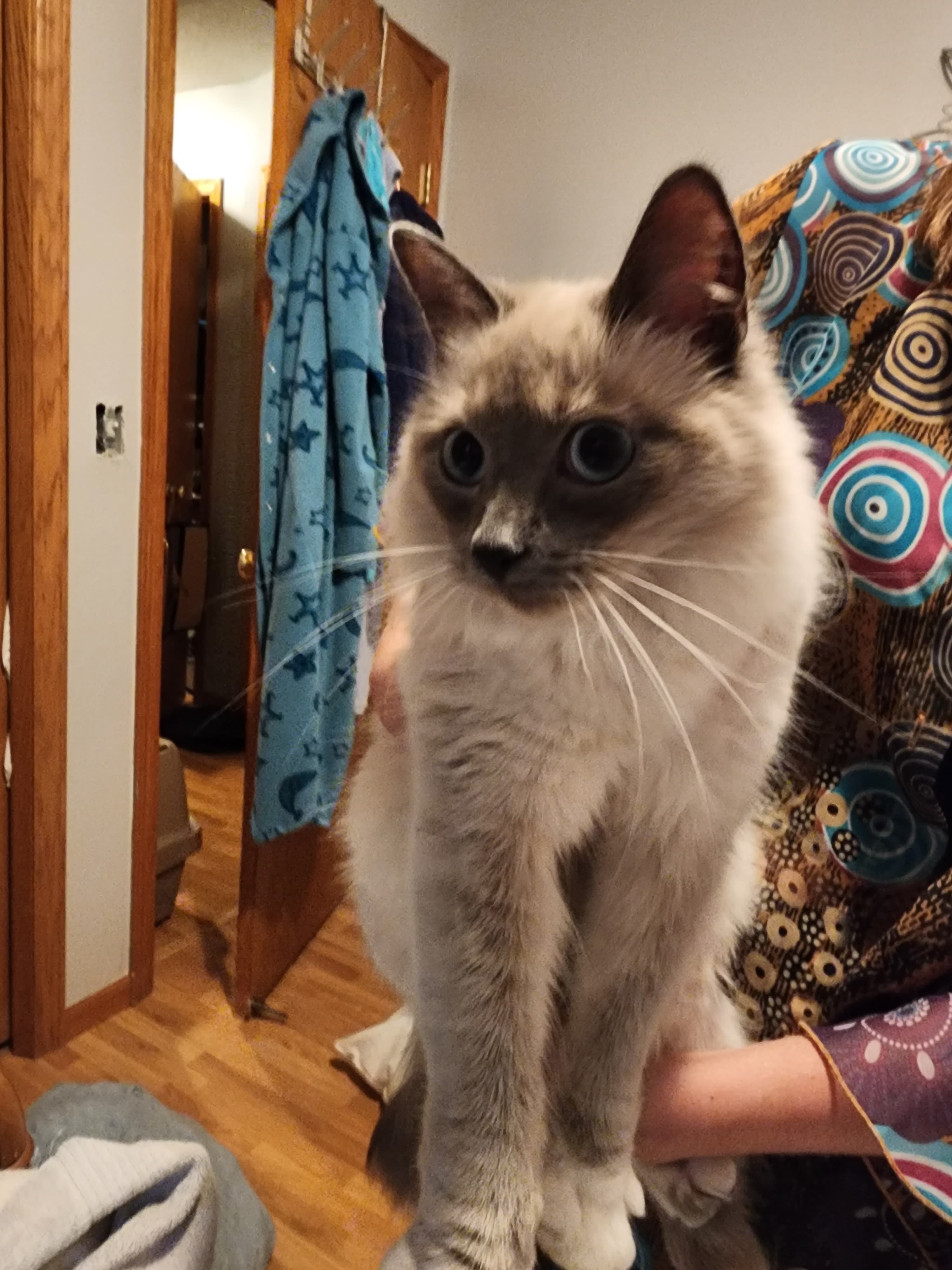 Rocky, back home in Minnesota