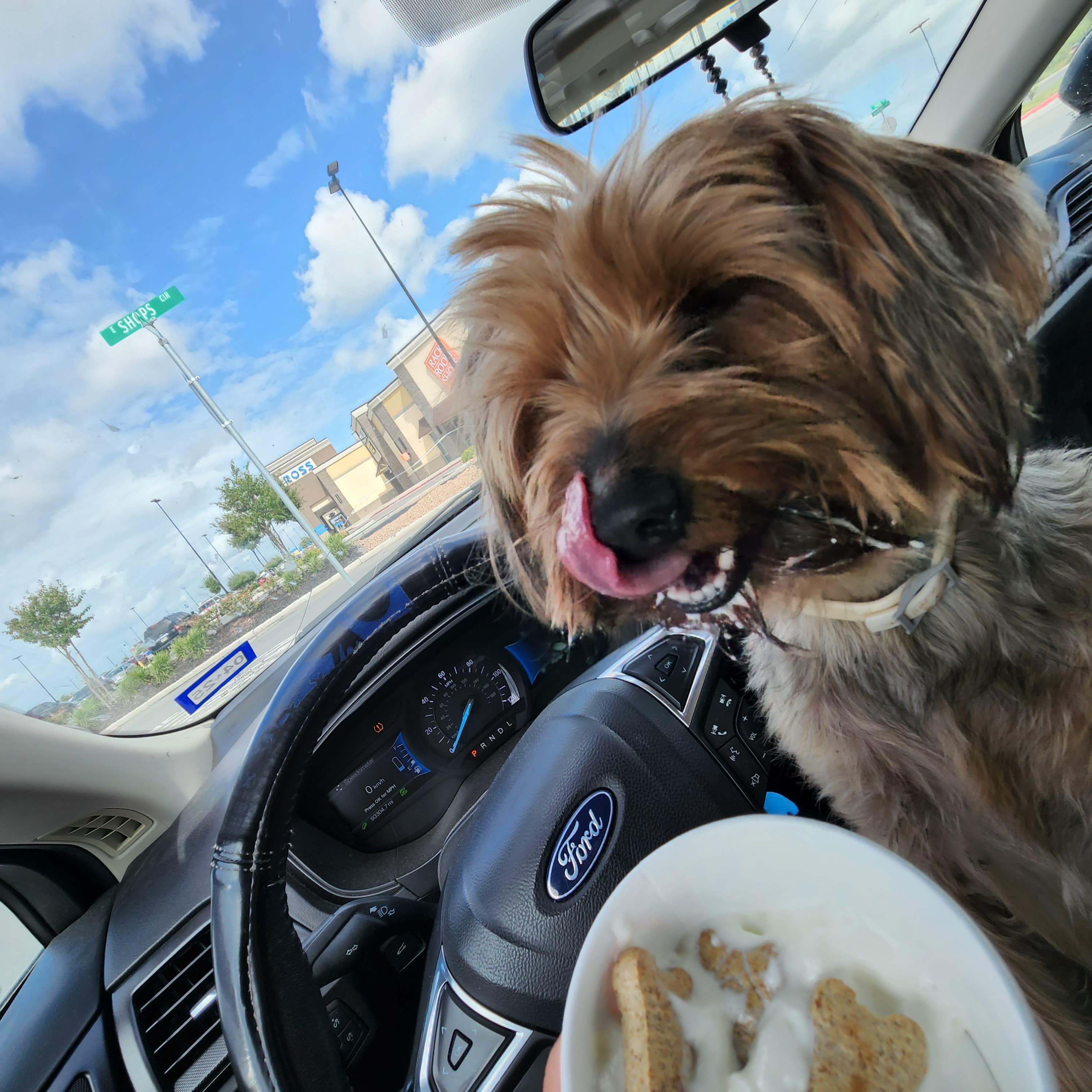 Ella, back home in Texas