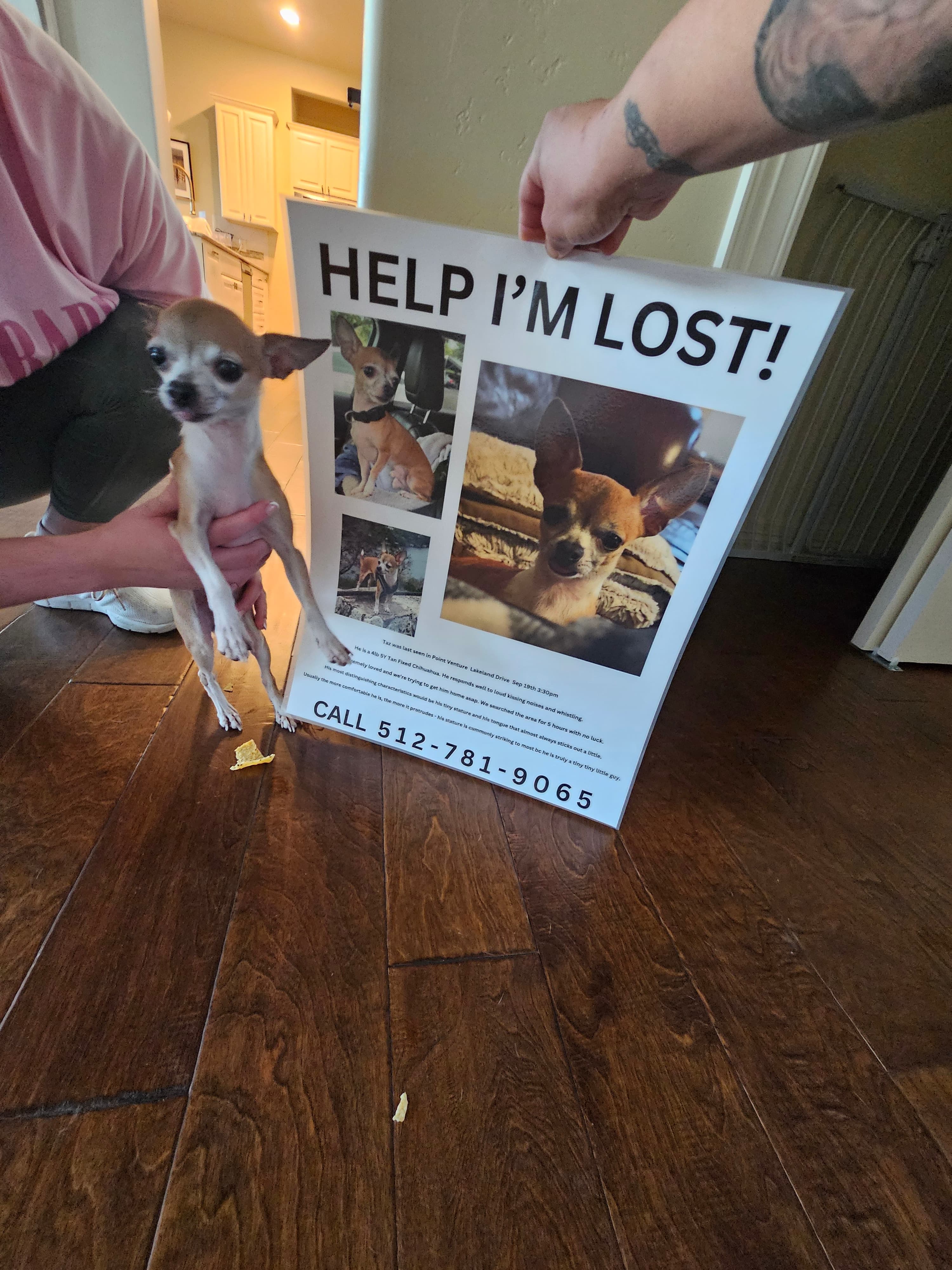 Taz, back home in Texas