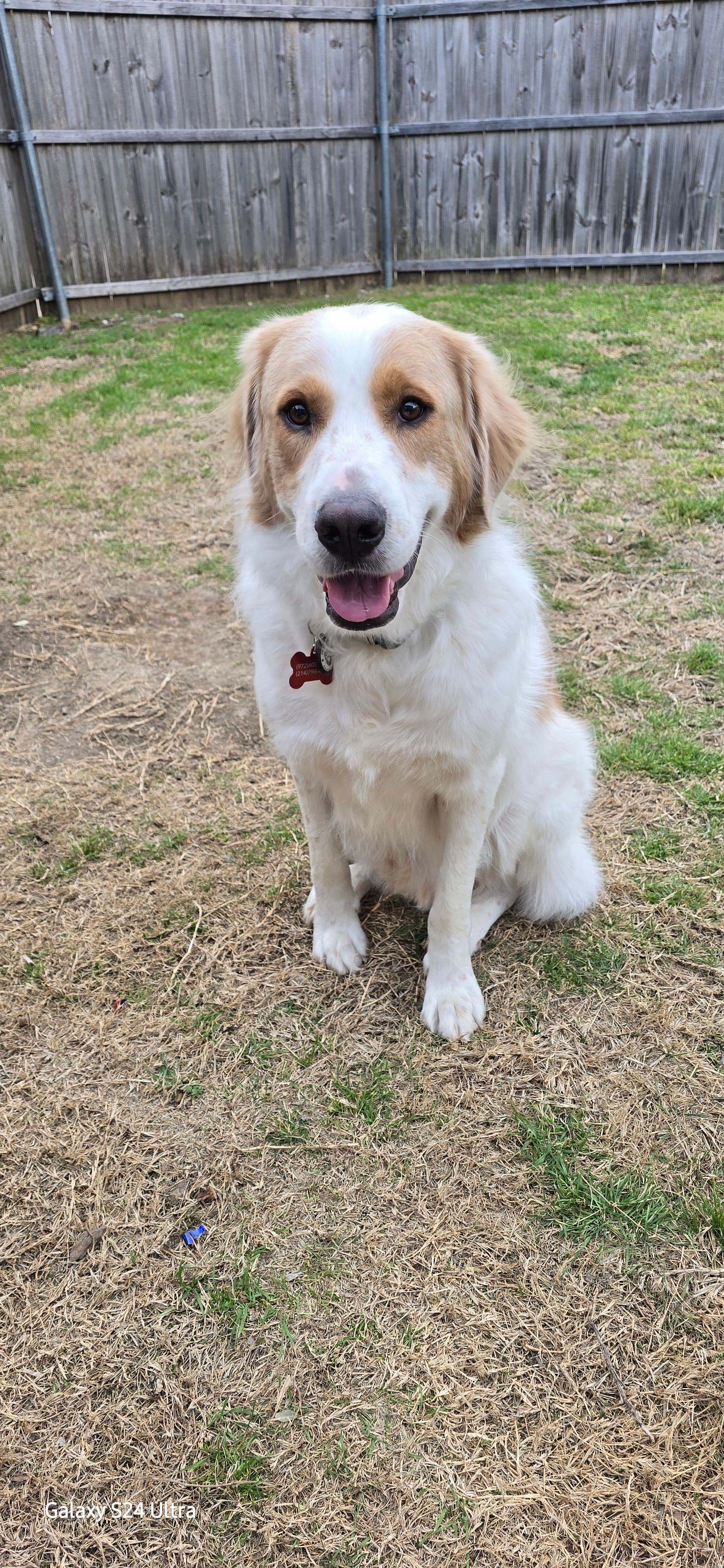 Cooper, back home in Texas