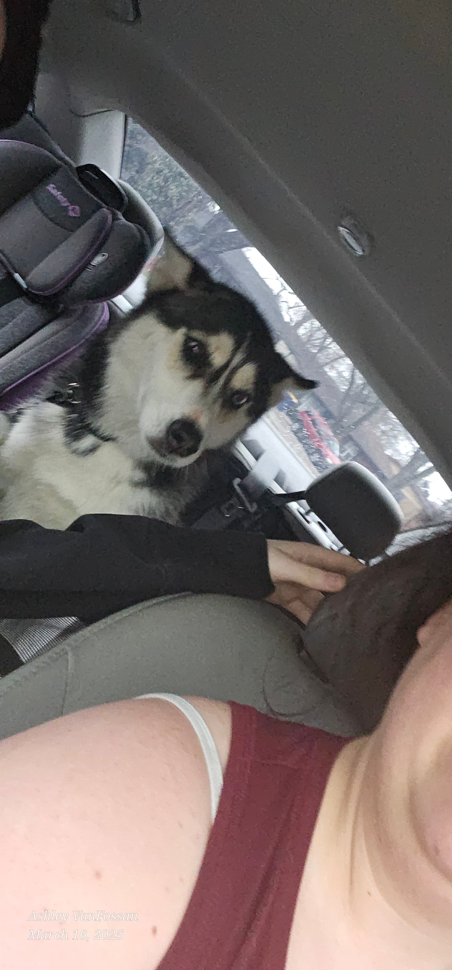 Penny, back home in Indiana