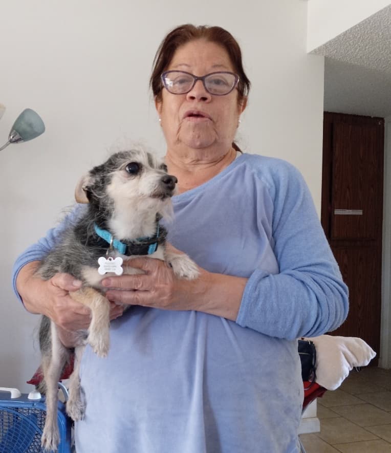 Pulgoso, back home in California