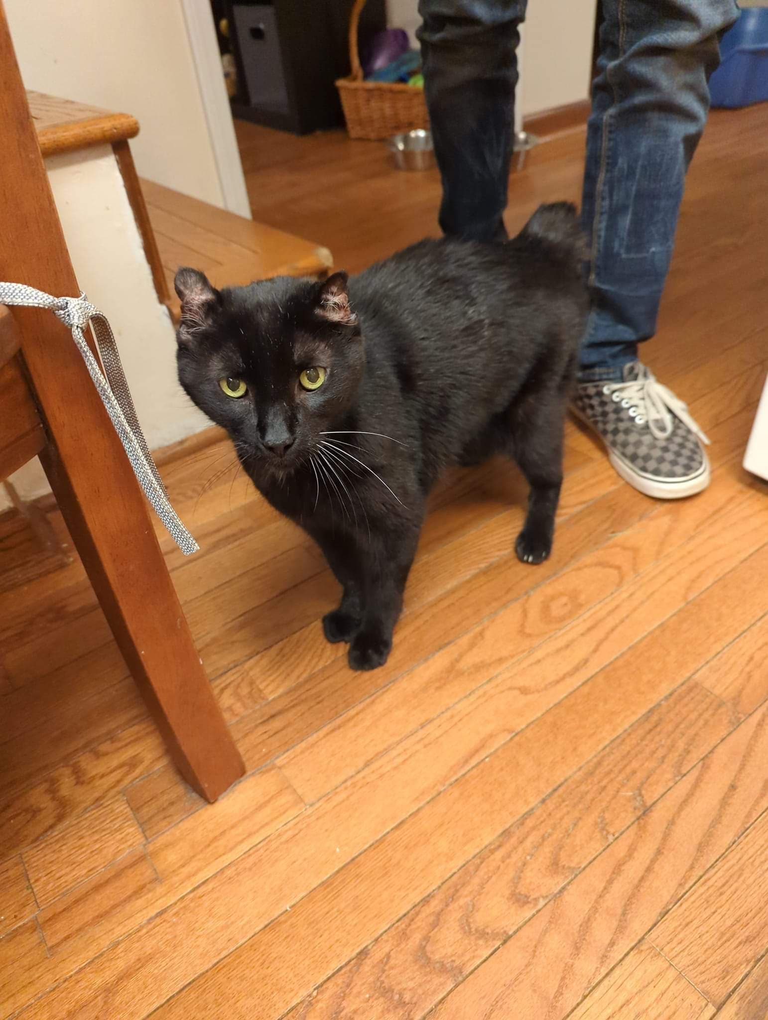 Bobby, back home in Michigan
