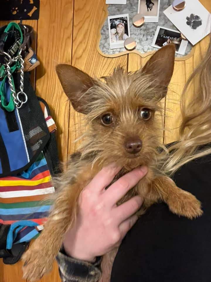 Bean, back home in Oklahoma