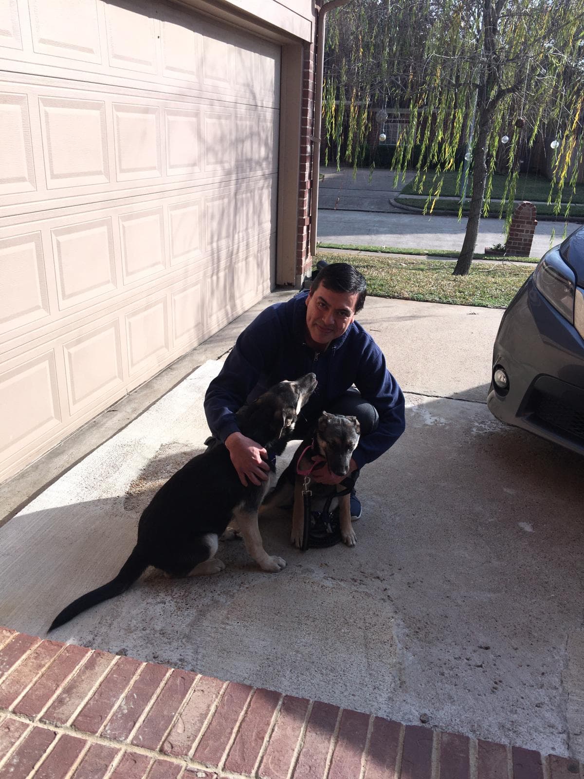 Maya and Canek, back home in Texas