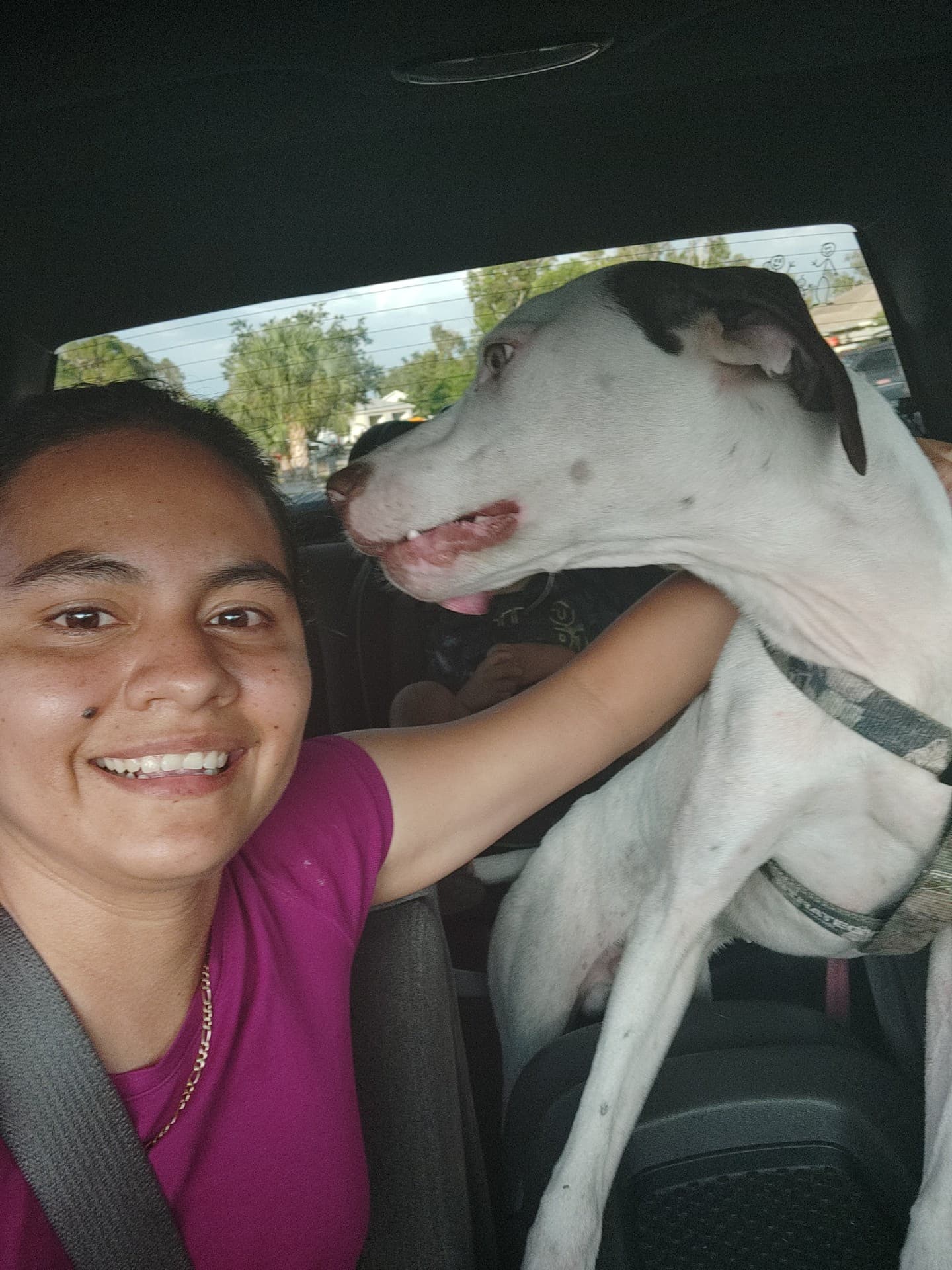Sarco, back home in Florida