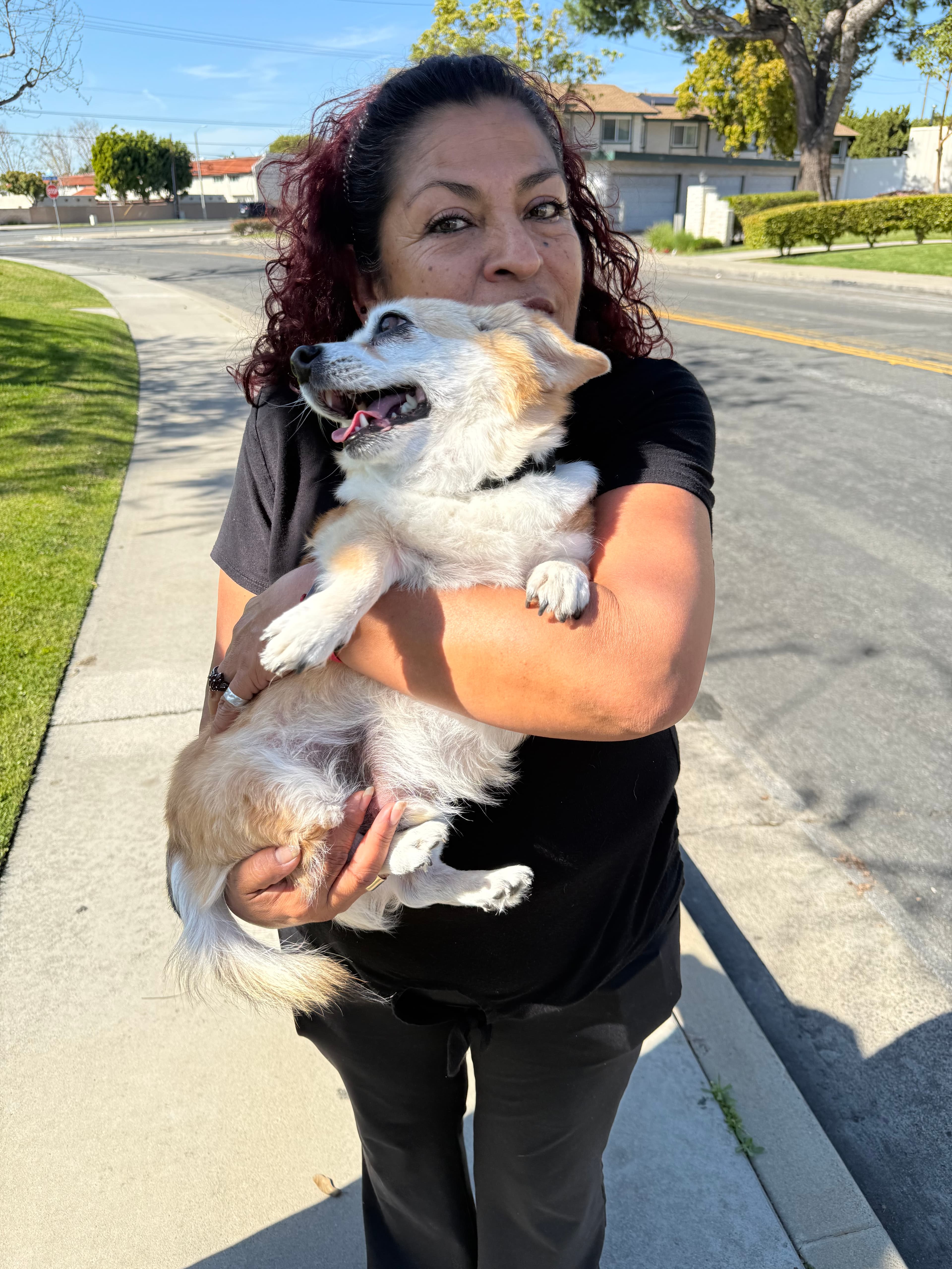 Shorty, back home in California