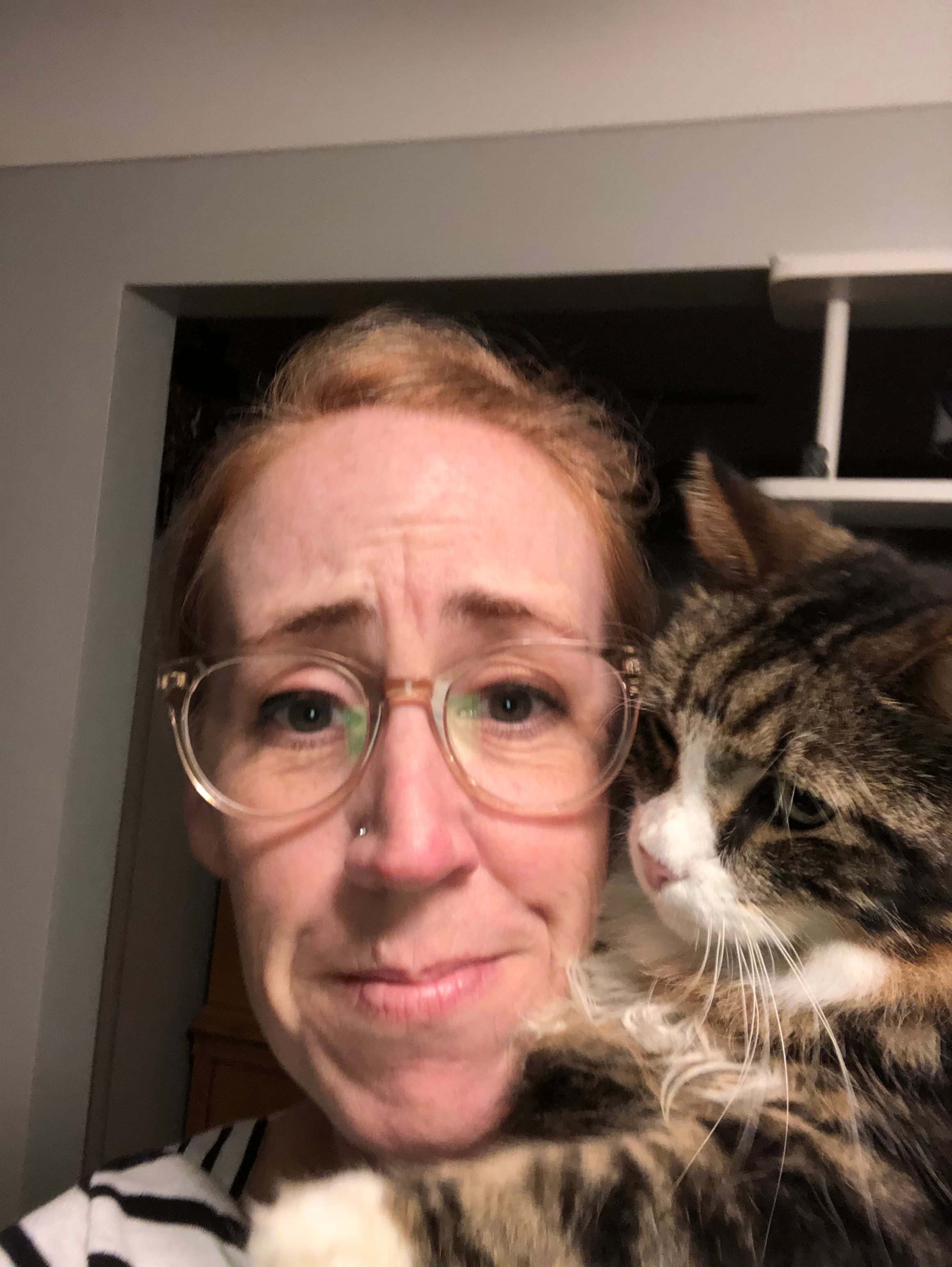 Little Kitty, back home in Edwardsville IL