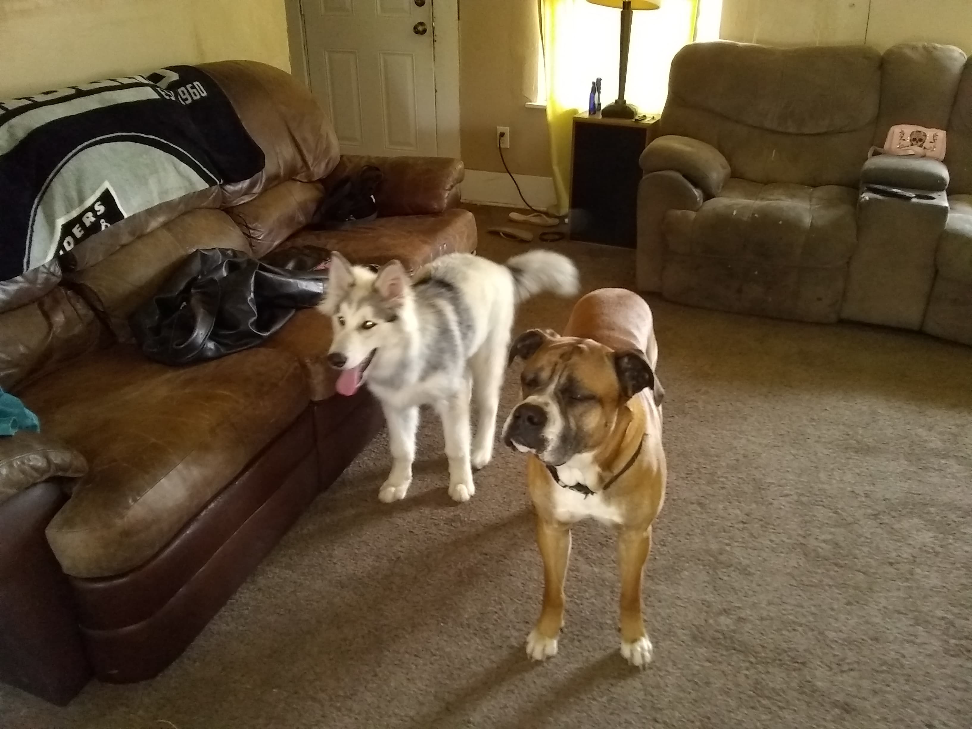 NaNook, back home in Wichita falls TX
