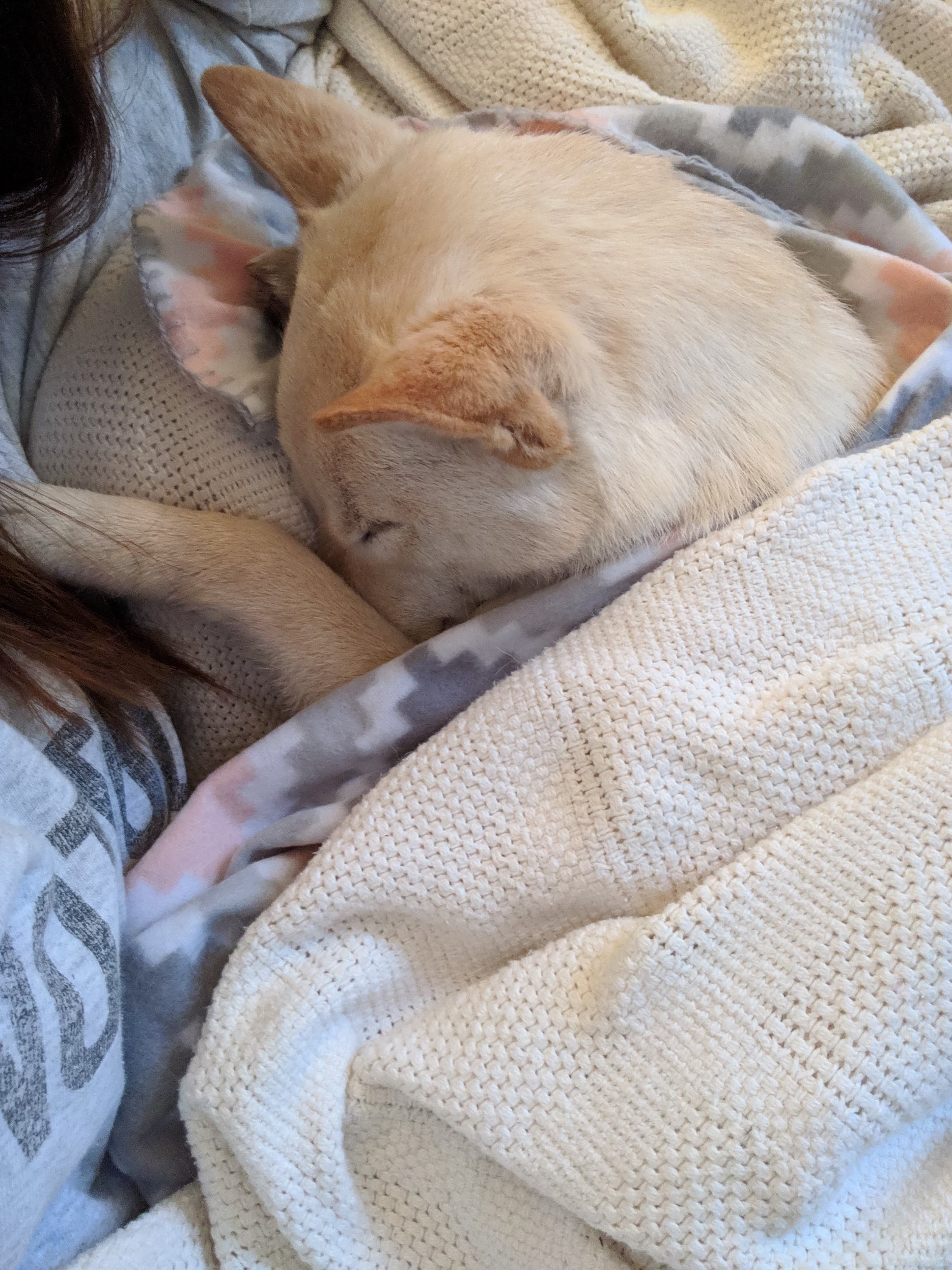 Butters, back home in Syracuse NY