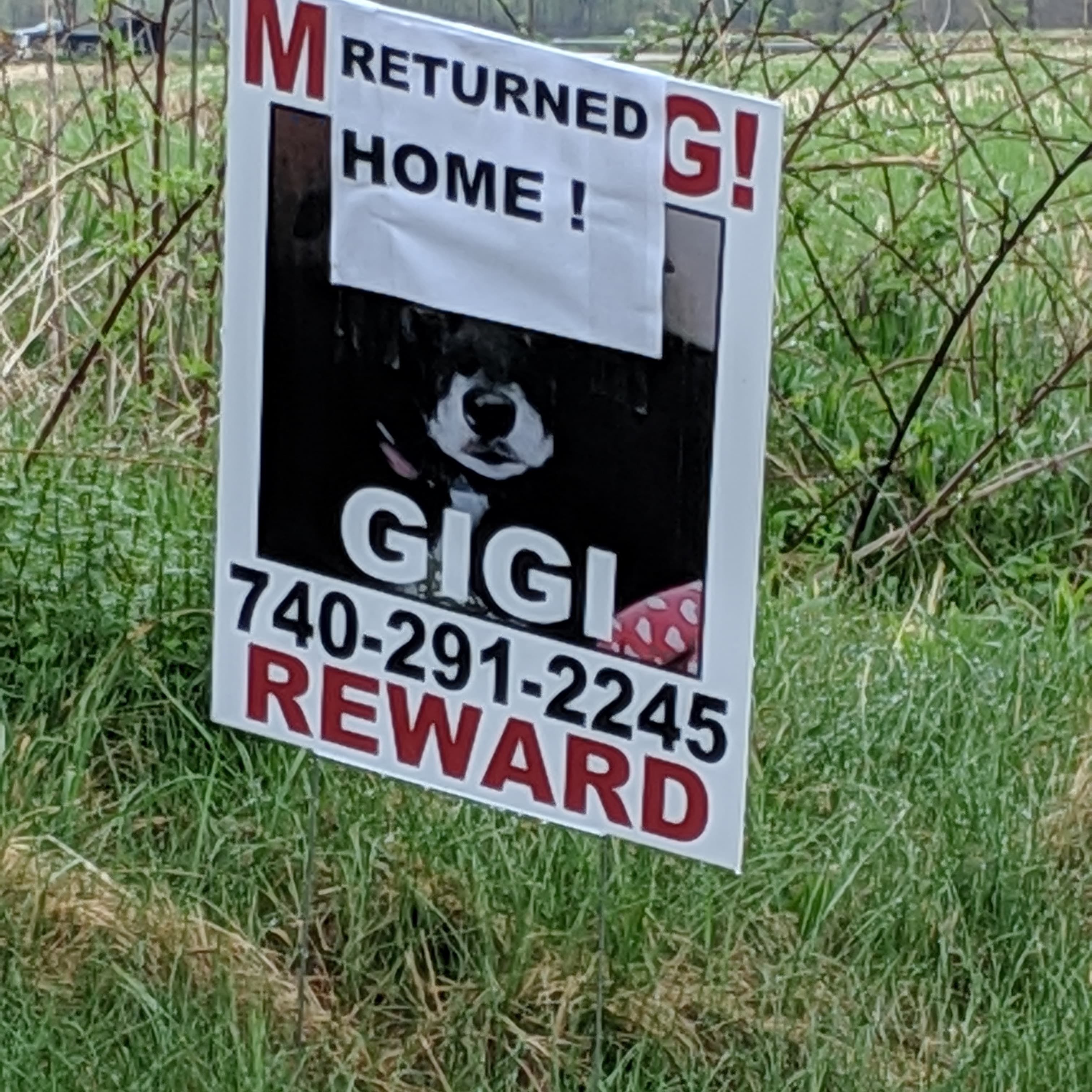 Gigi, back home in Coshocton OH