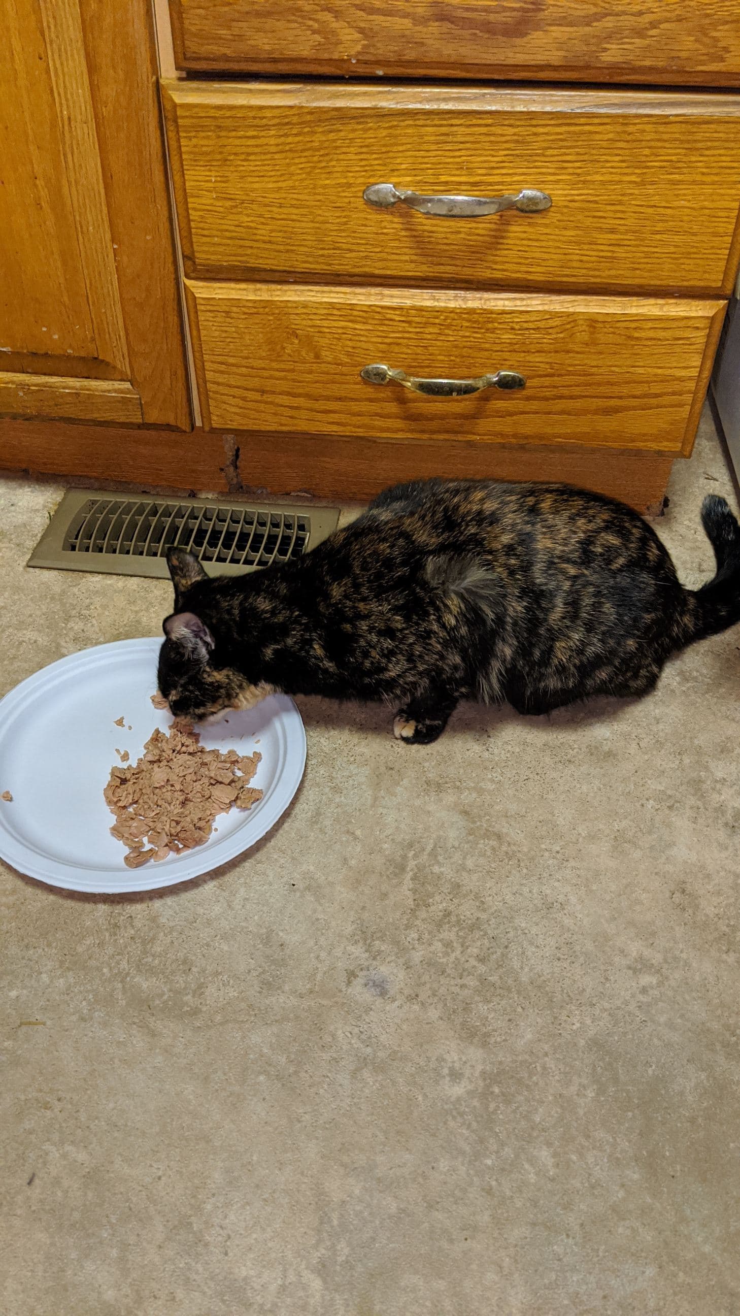 Kida, back home in Georgia