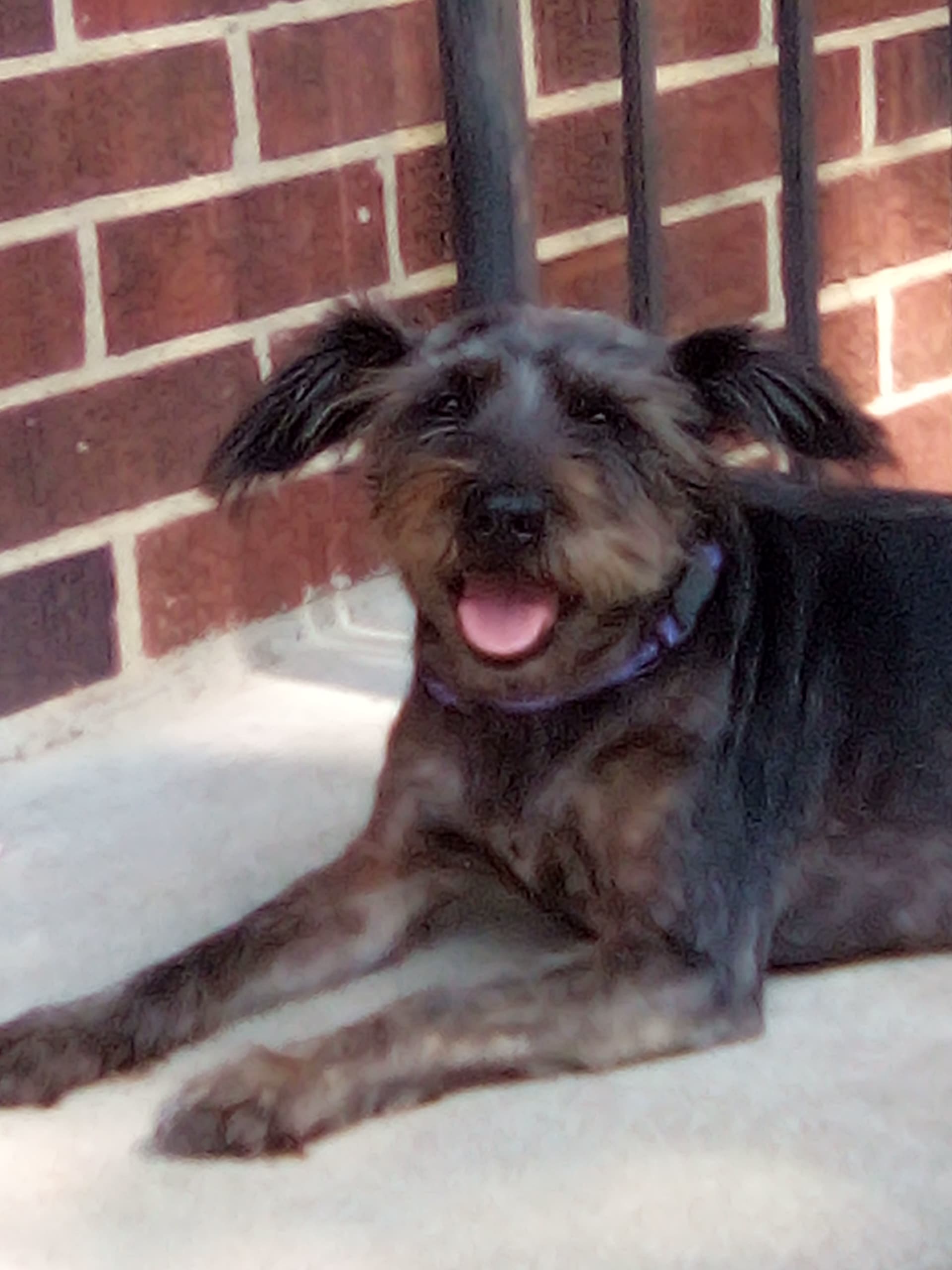 Katy, back home in Alabama