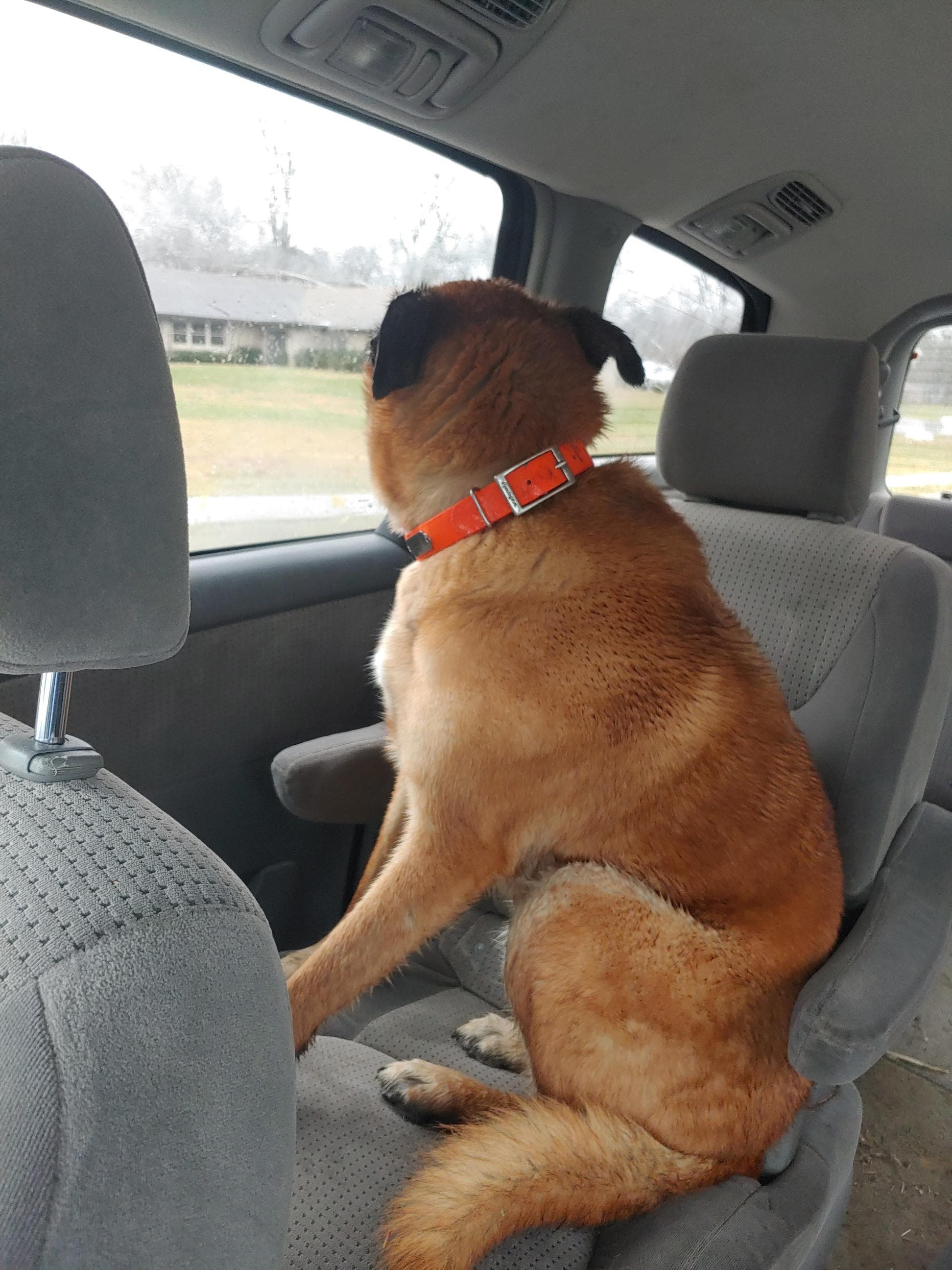 Cooper, back home in Kentucky