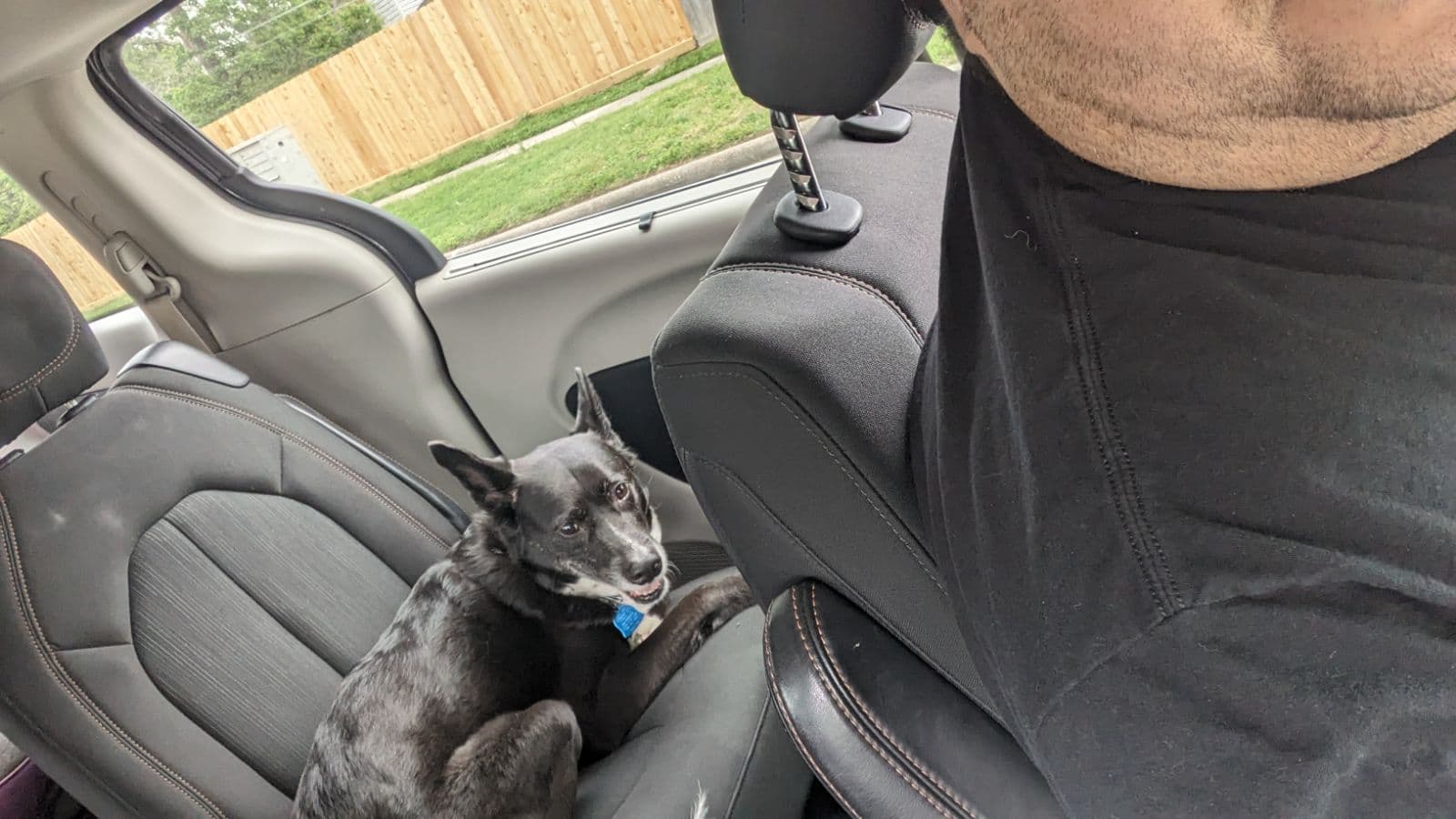 Jax, back home in Texas