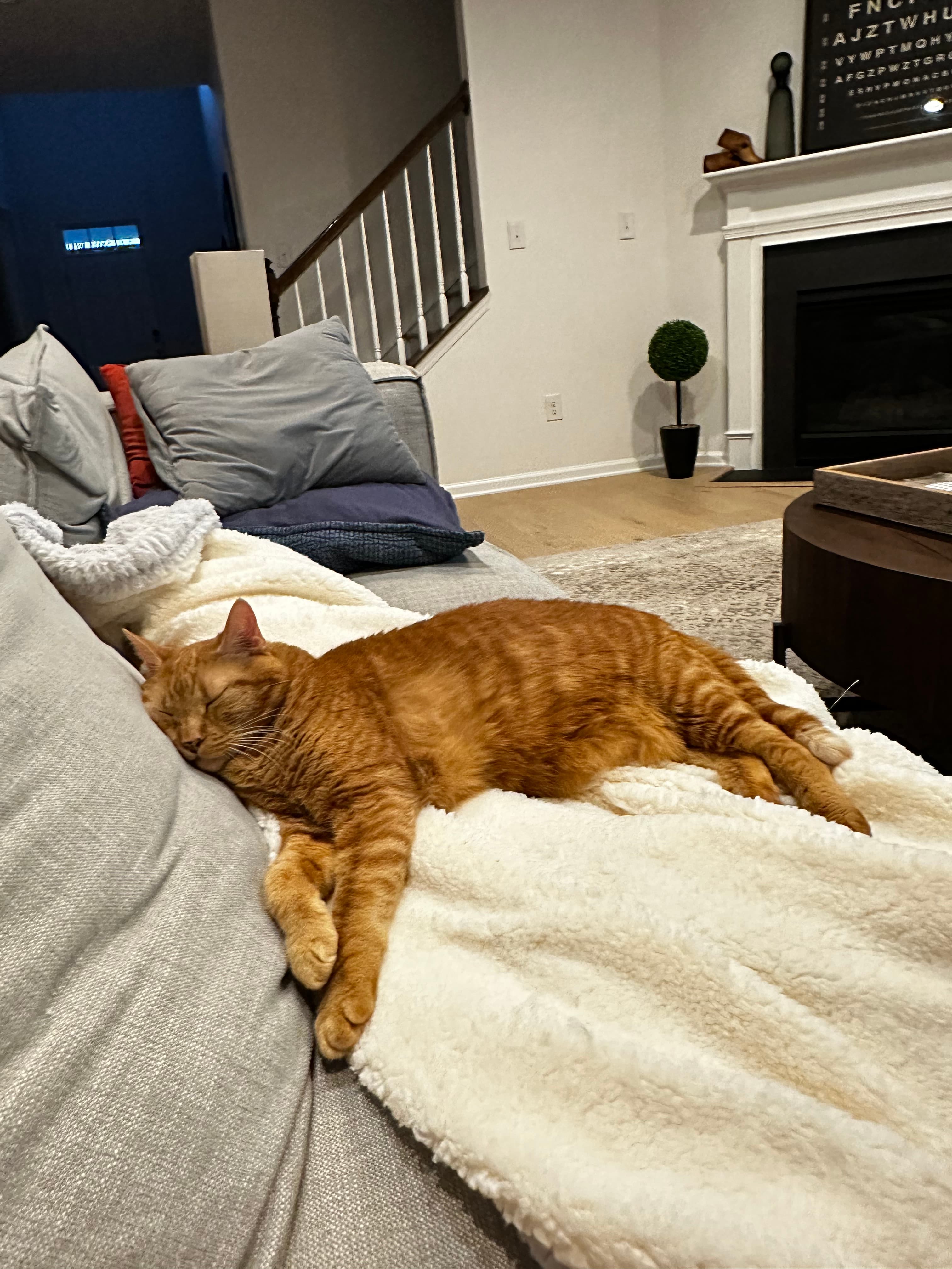 Thomas, back home in North Carolina