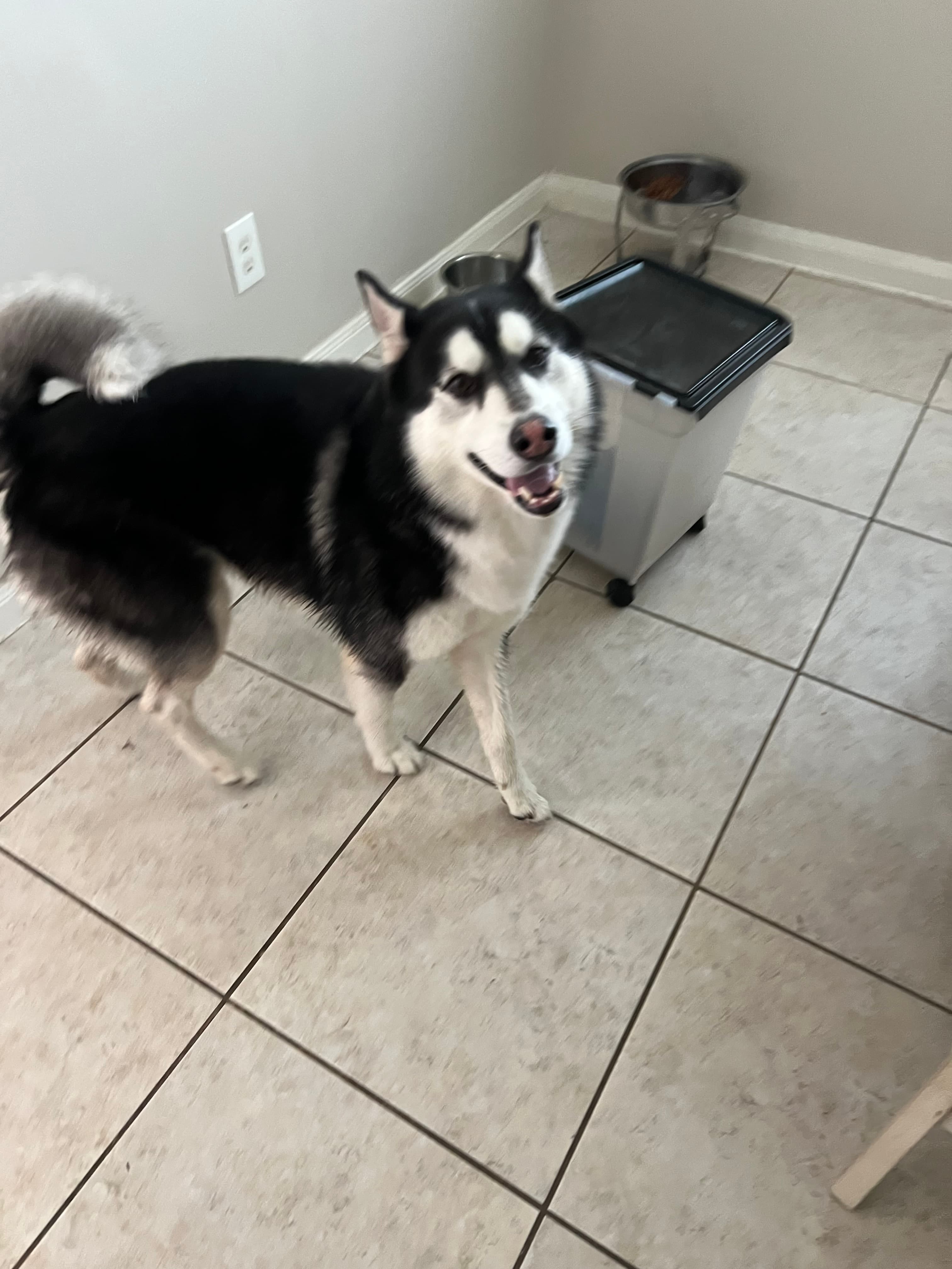 Damon, back home in Texas