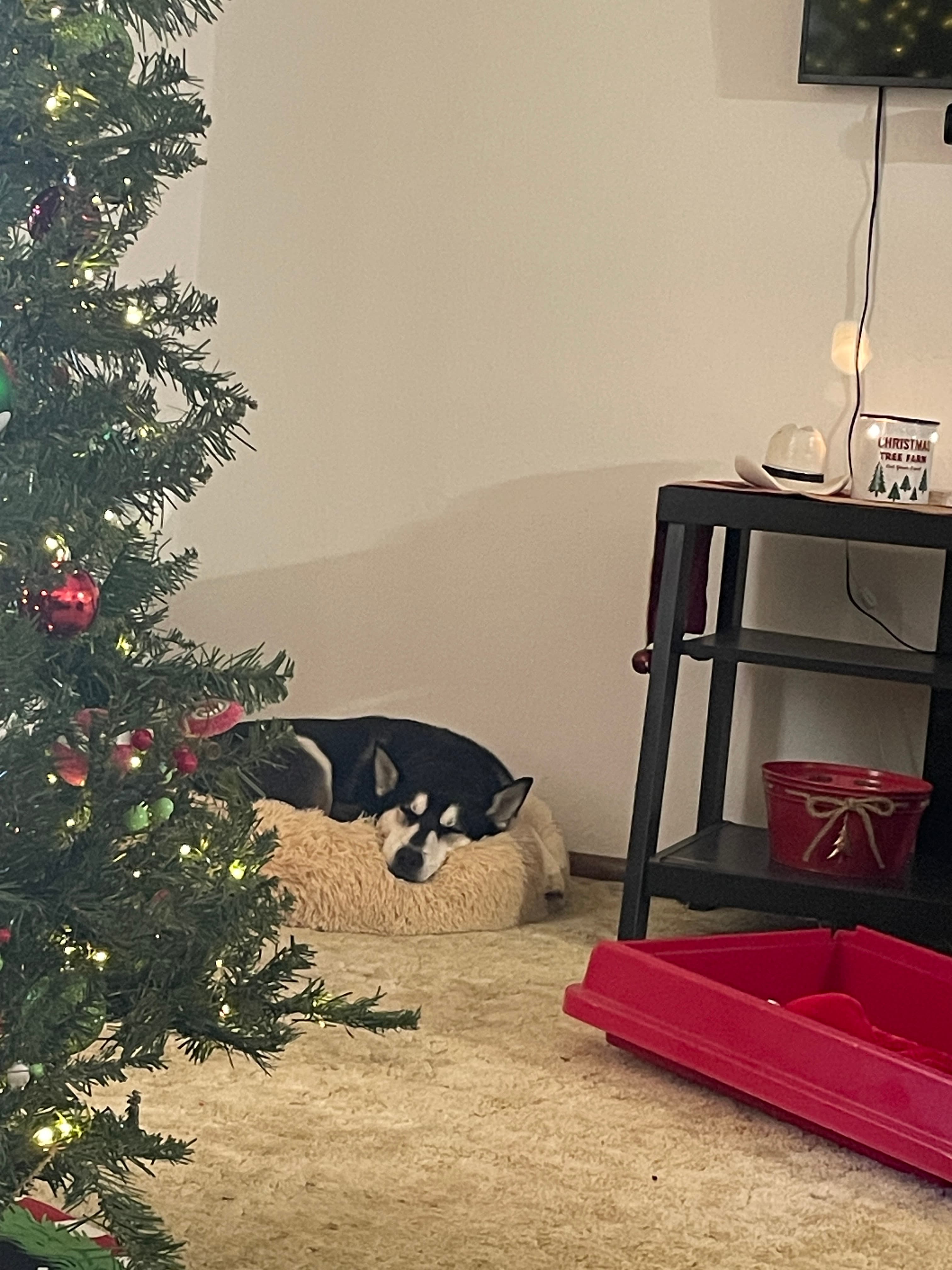 Mia, back home in Oklahoma