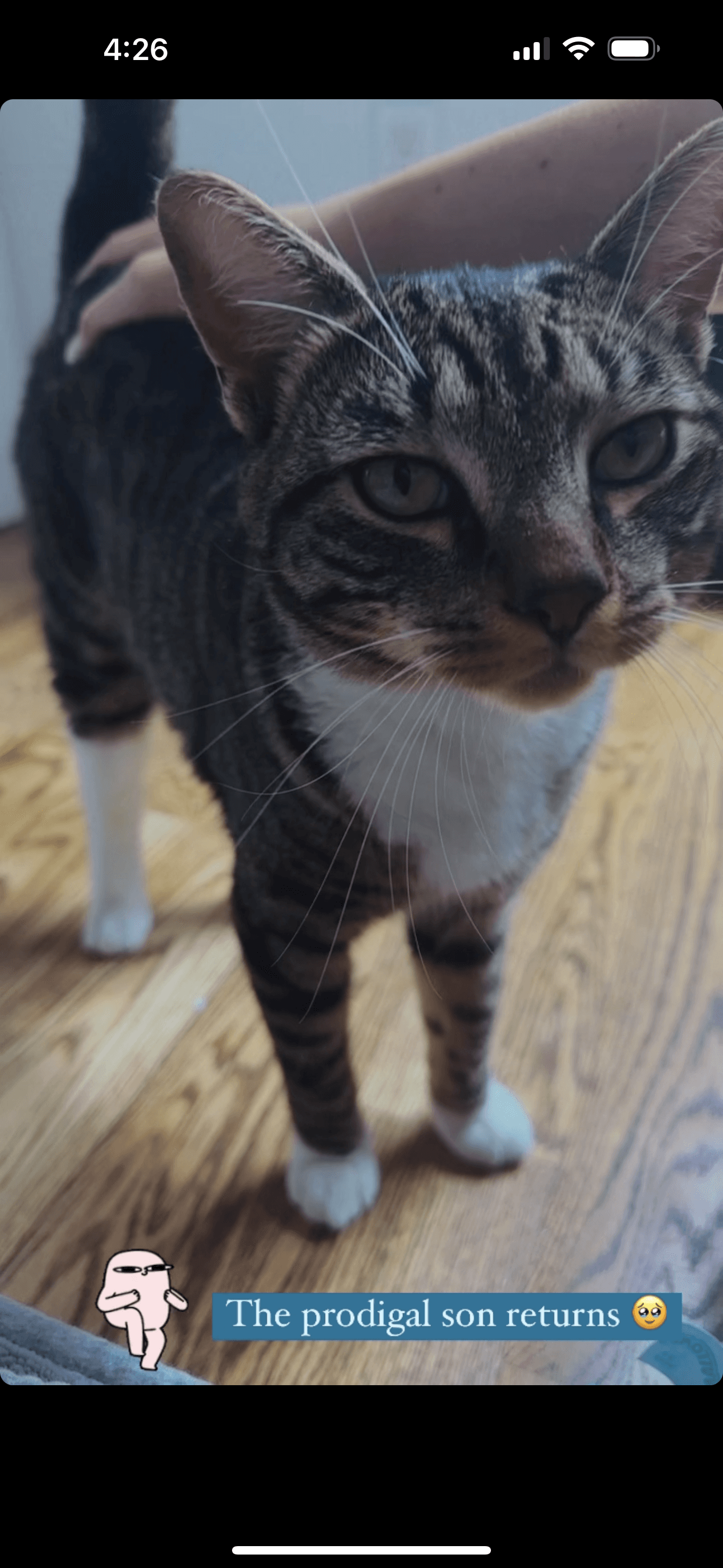 Jupiter, back home in New York