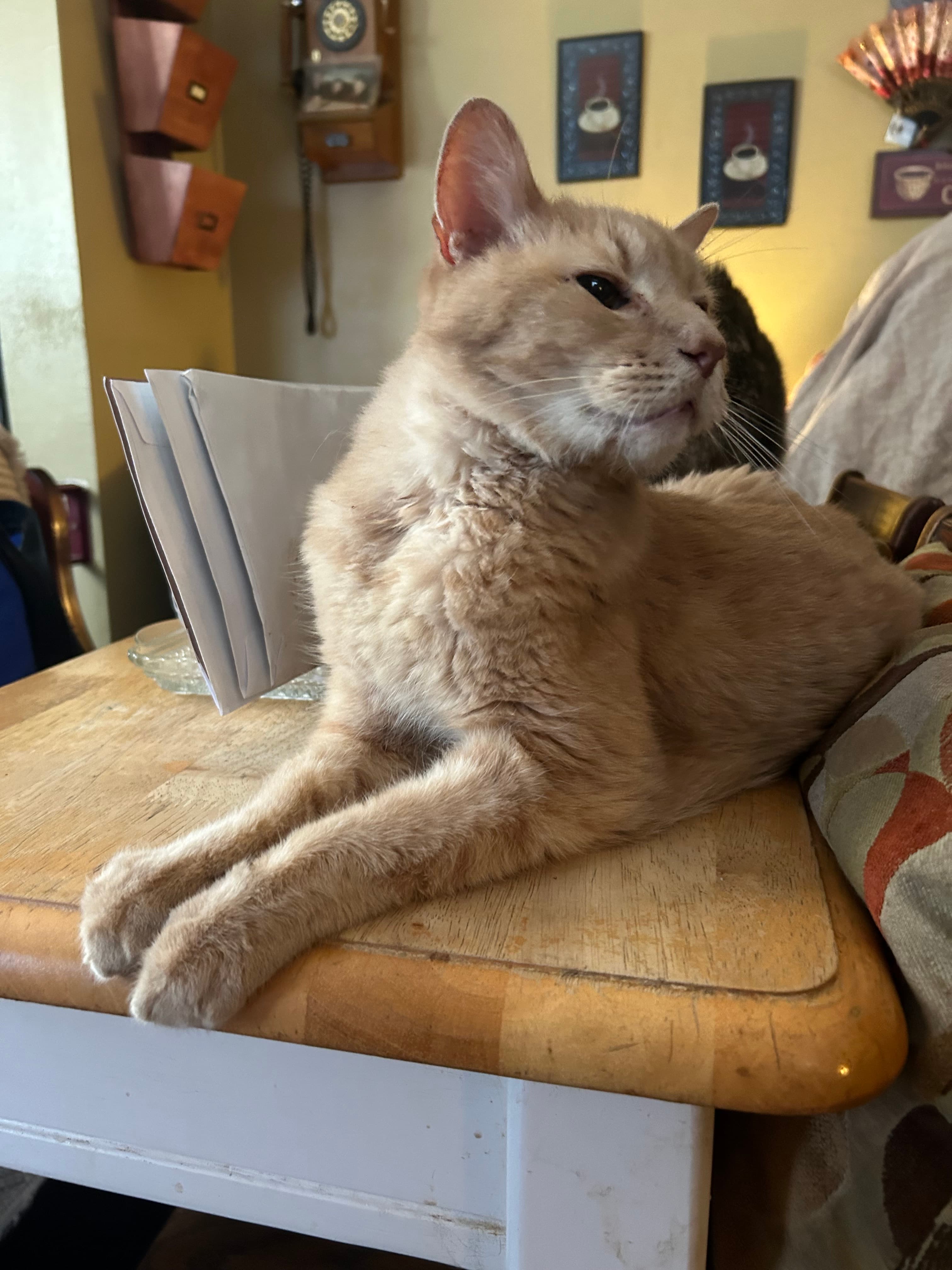 Sherbert, back home in Missouri
