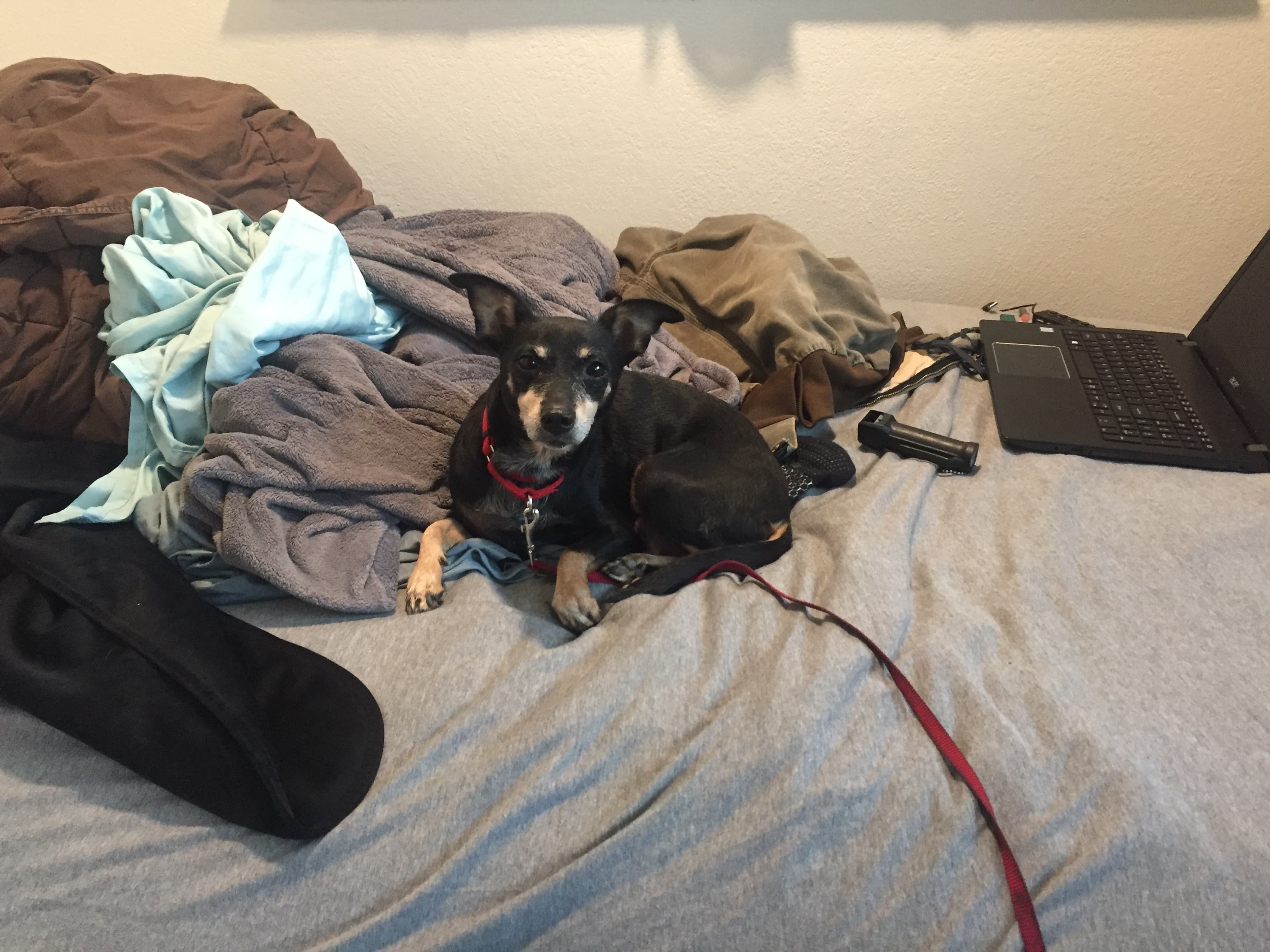 Ruthie, back home in Texas