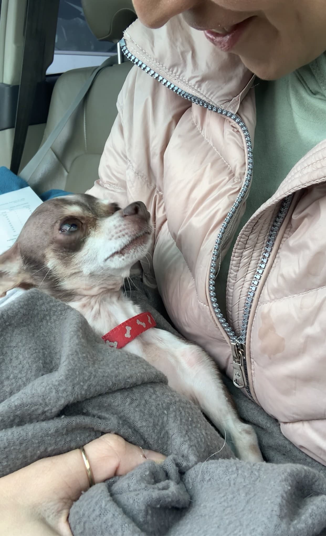 Bodhi (pronounced Bo, back home in Texas