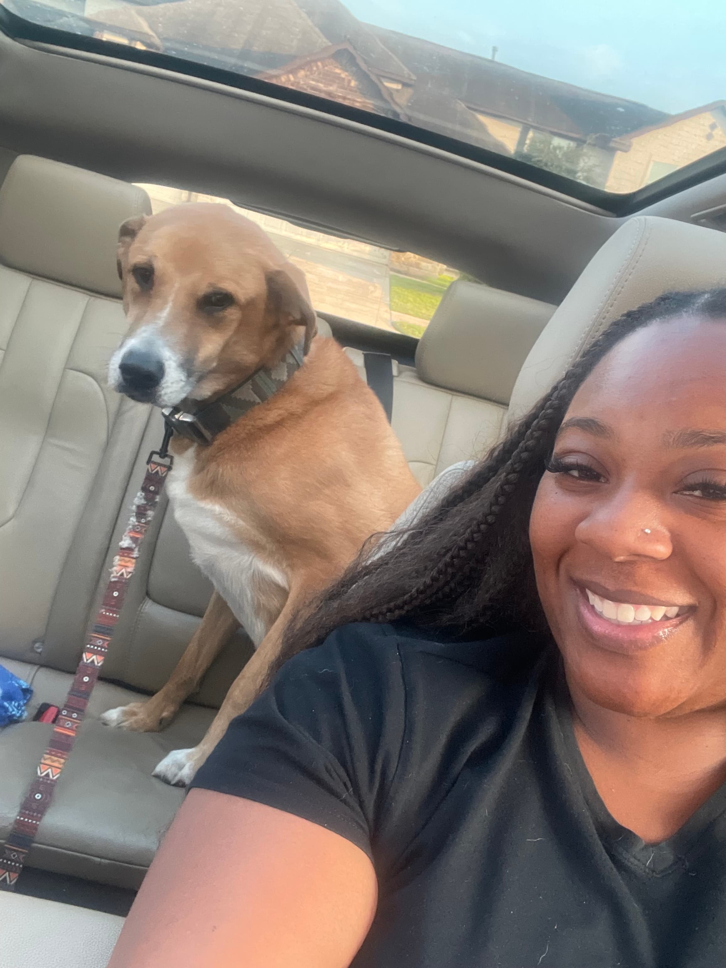 Vito, back home in Texas