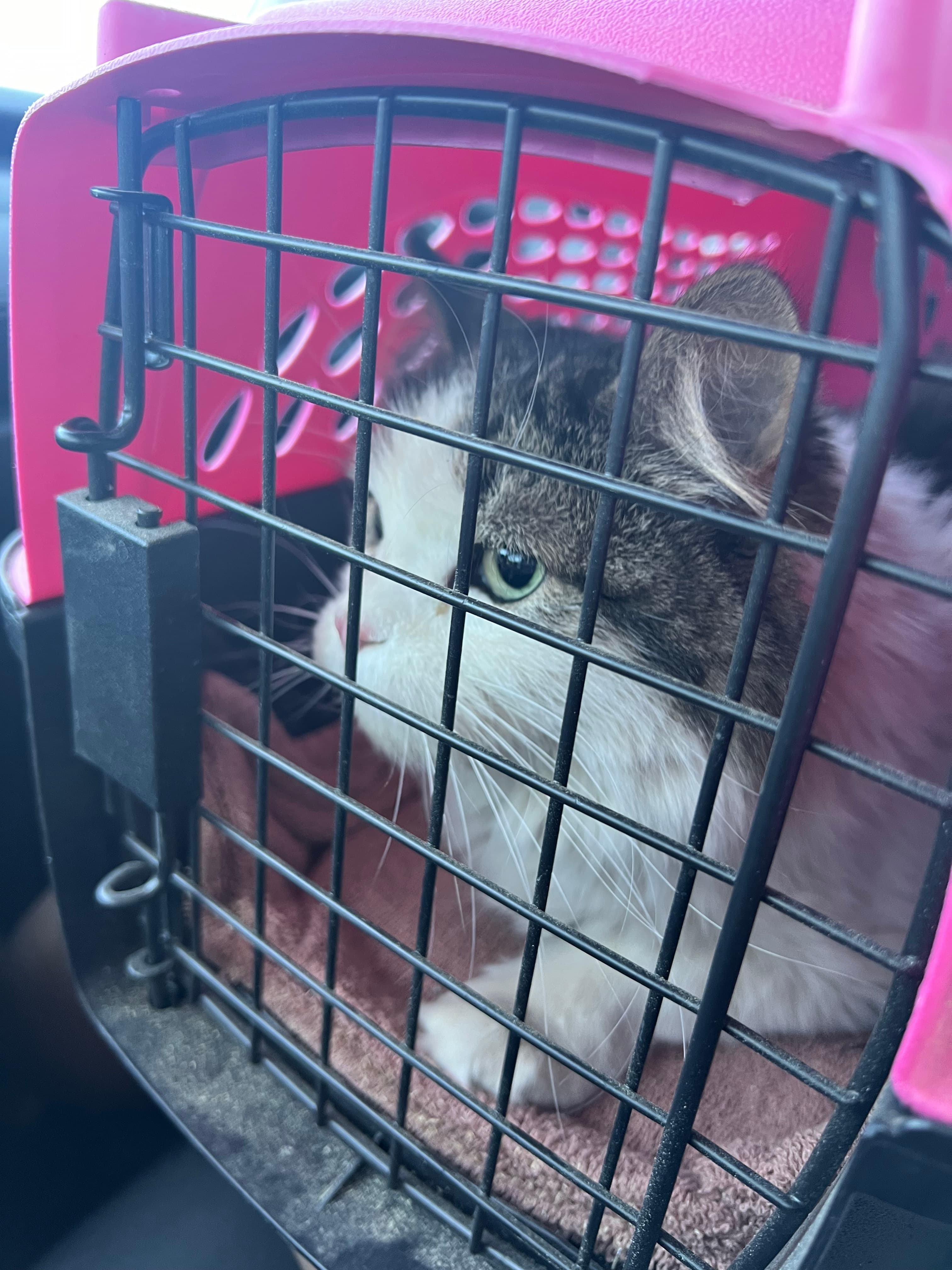 Kendall, back home in New Mexico