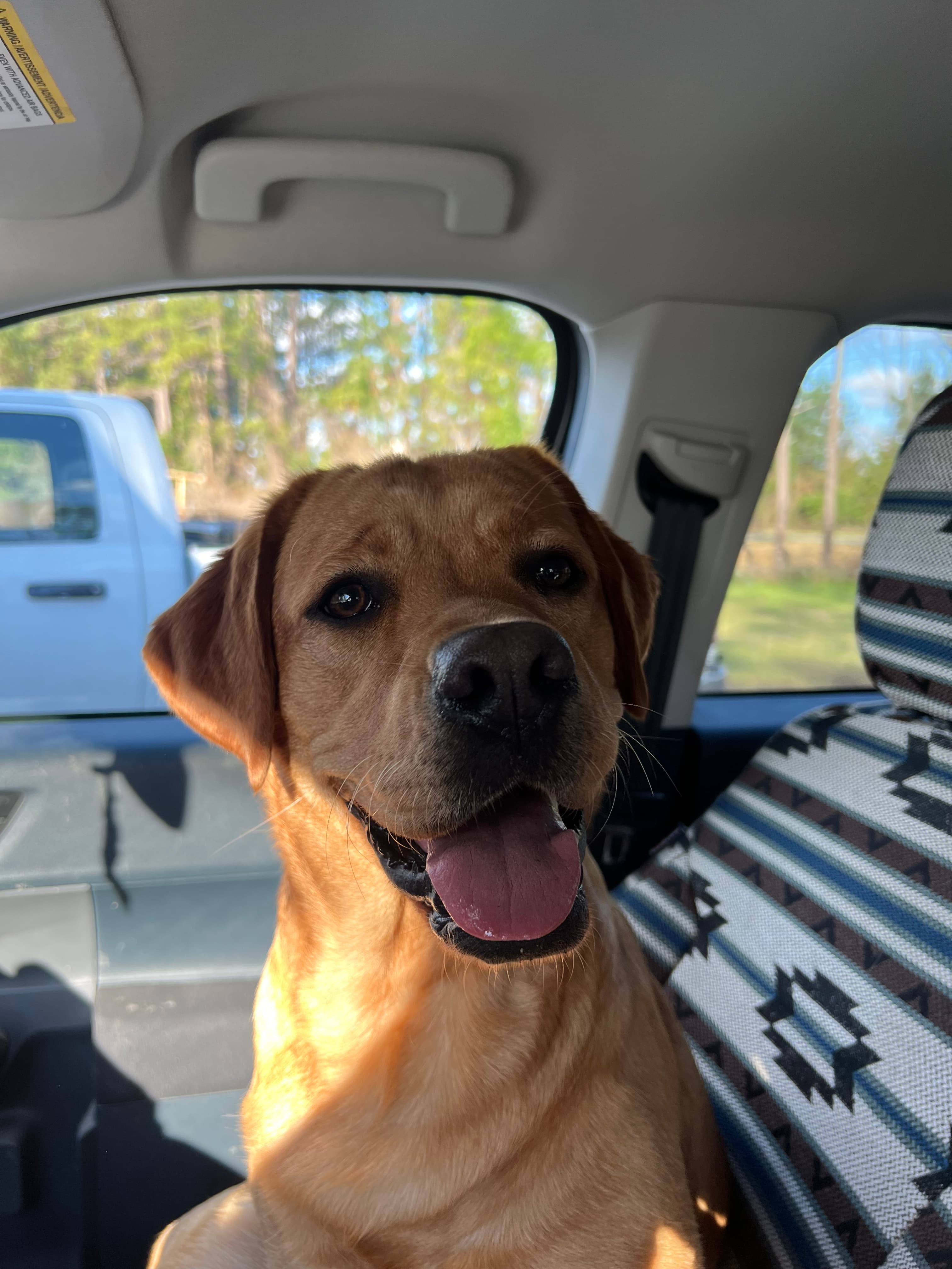 Brandy, back home in Alabama
