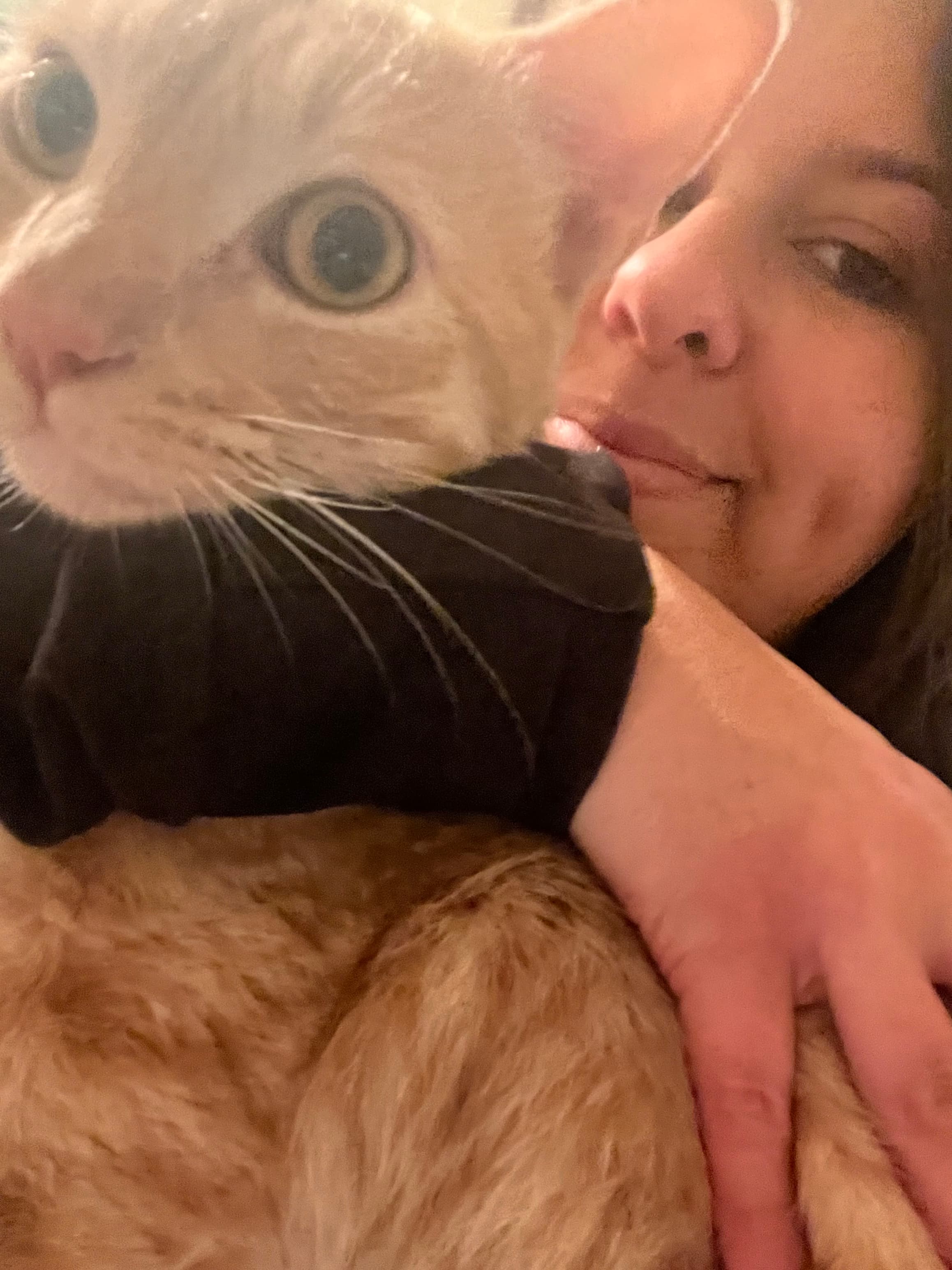 Simba, back home in California