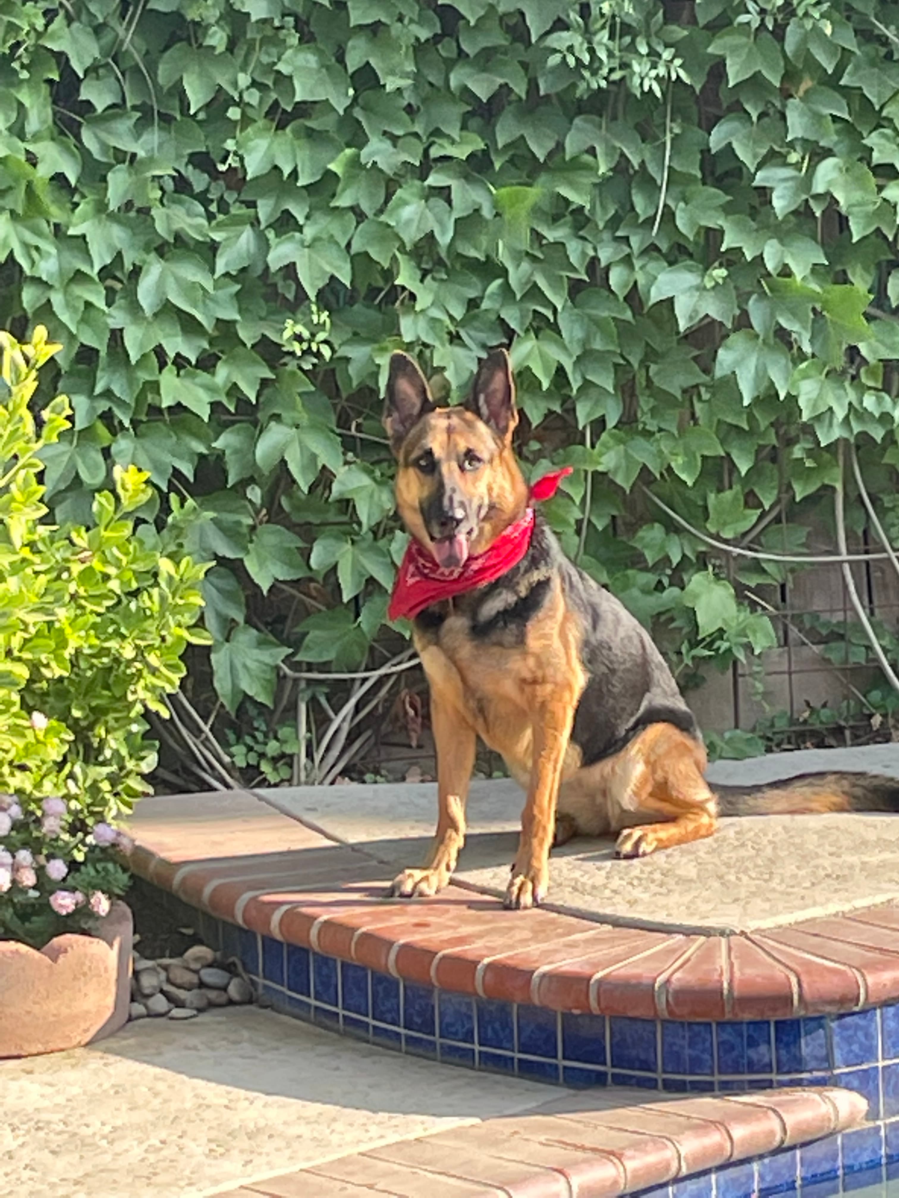 Kaia, back home in California