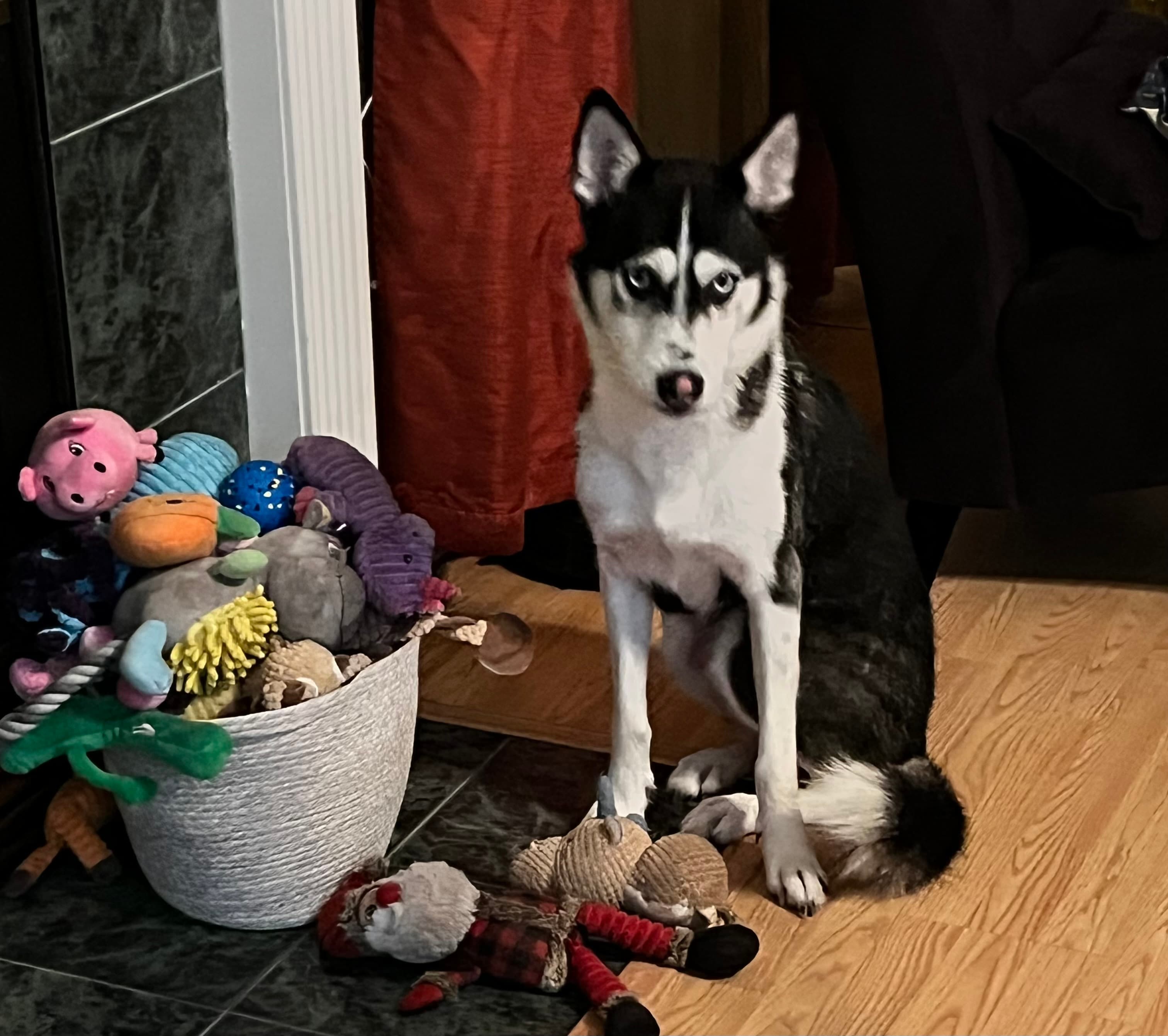 Myka, back home in Texas