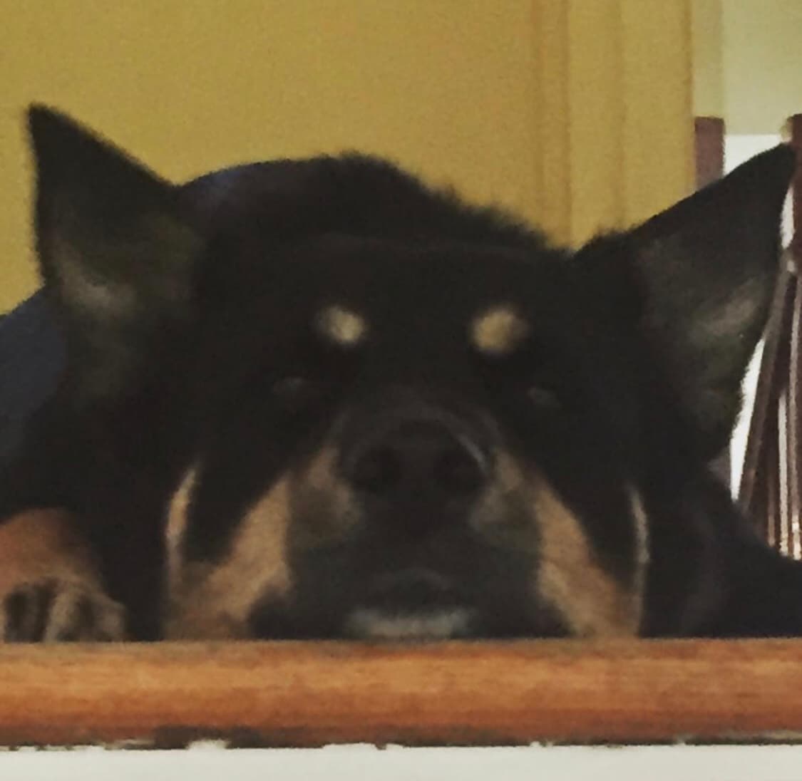 Nix, back home in Maryland