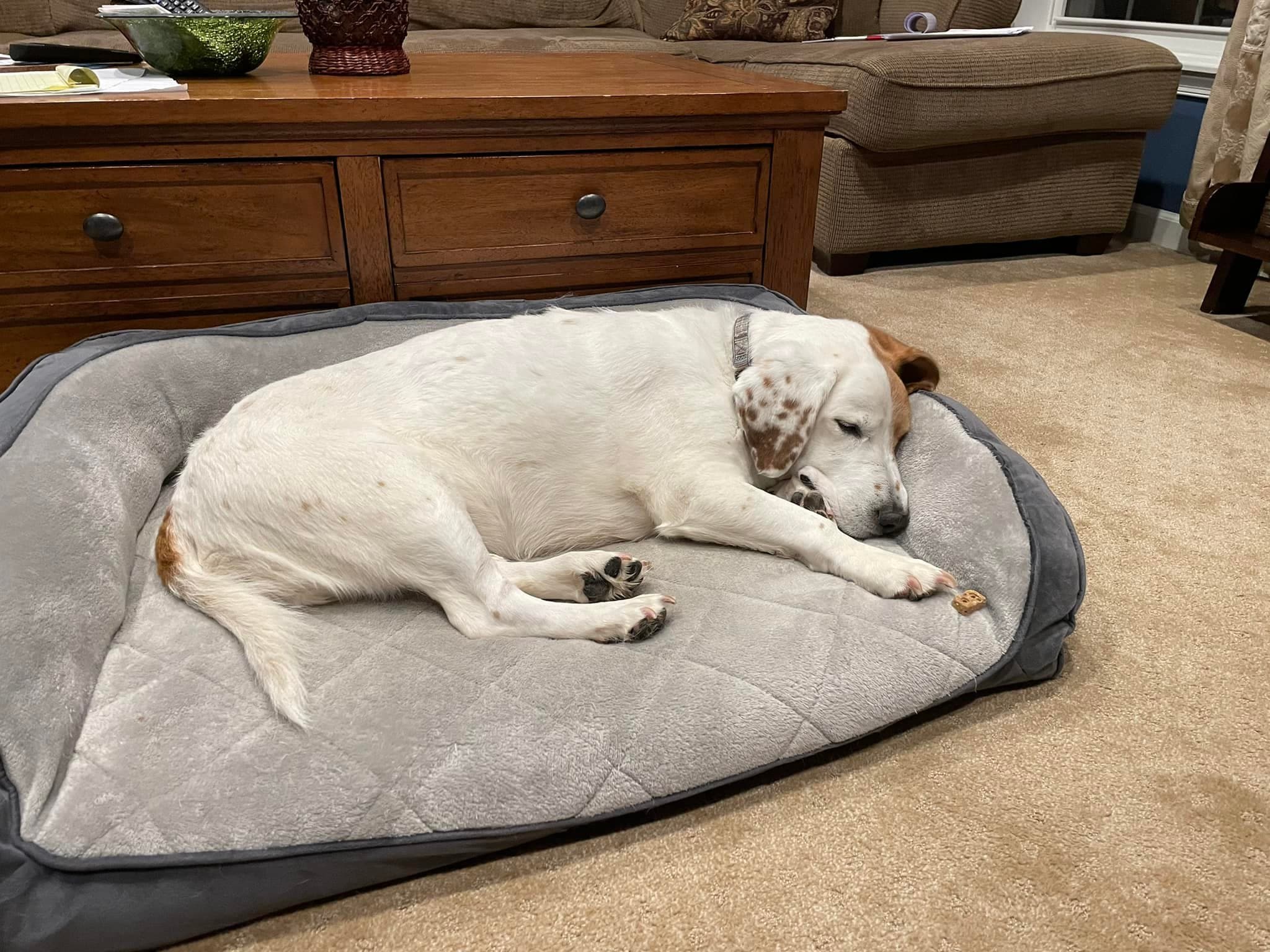 Penny, back home in New Jersey