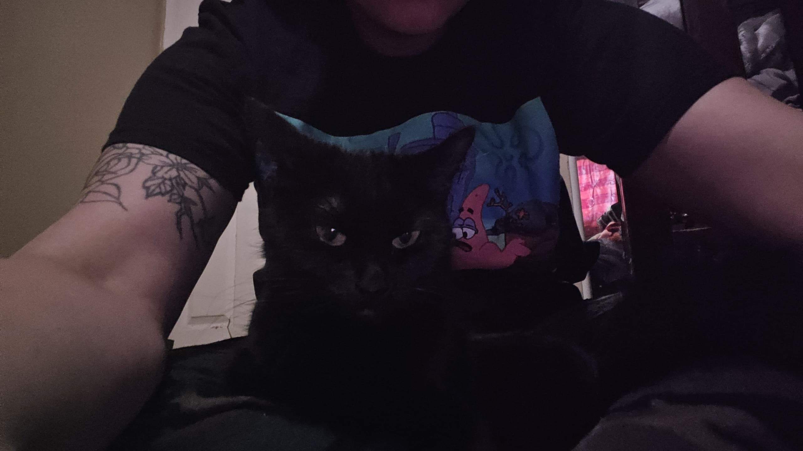 Raven, back home in Michigan