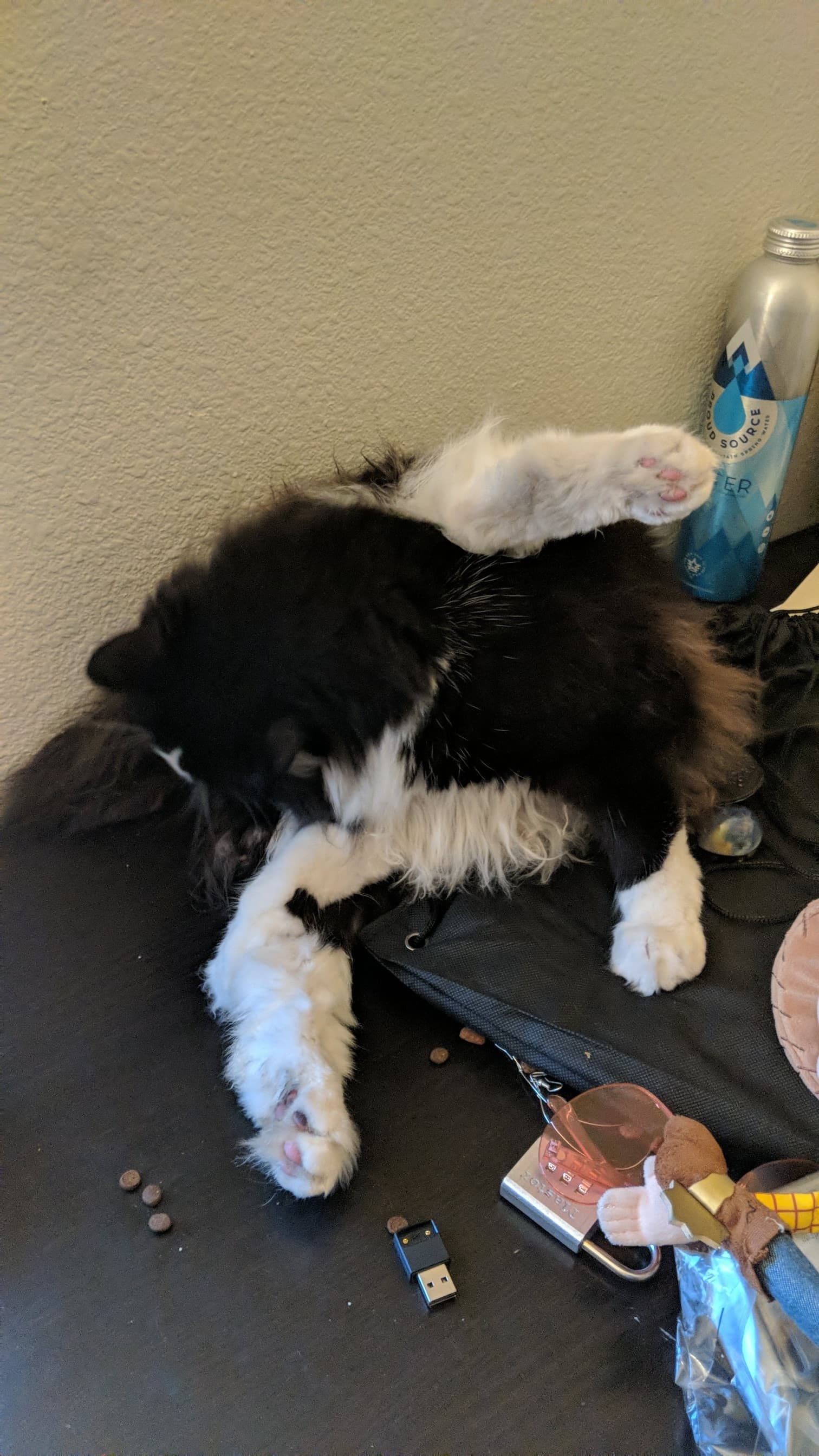 Eleanor, back home in Huntington Beach CA