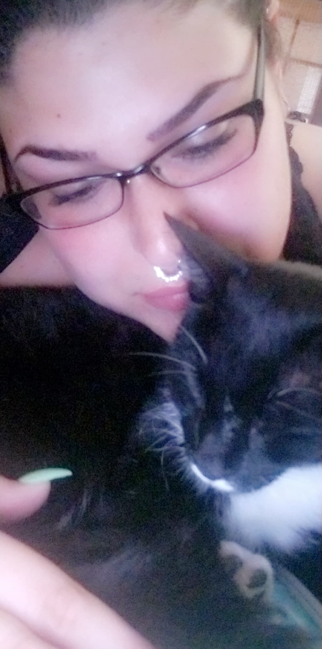 Mustachio, back home in Miami FL