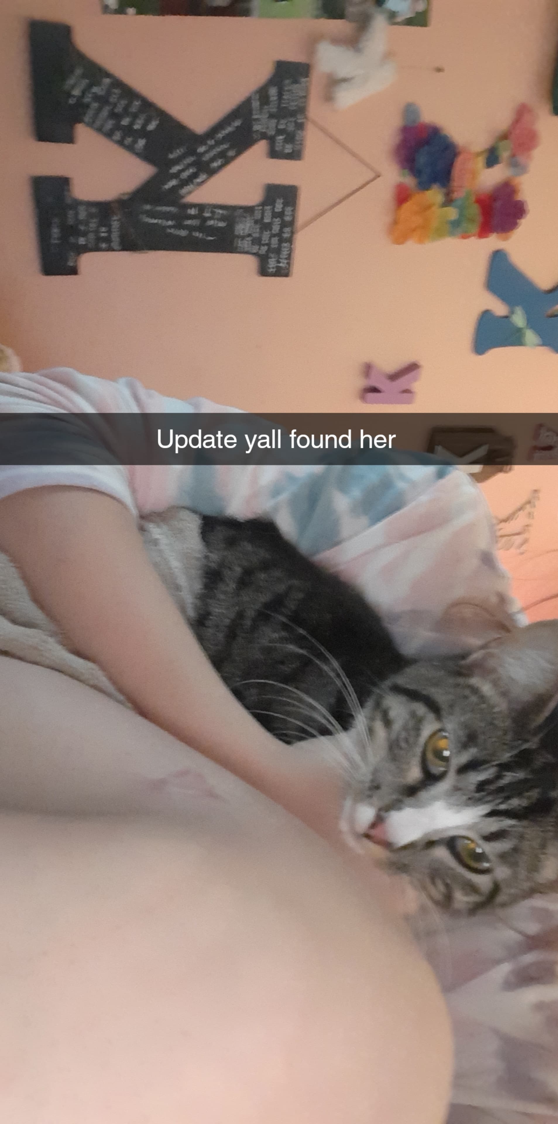 Ivy Jean, back home in Missouri