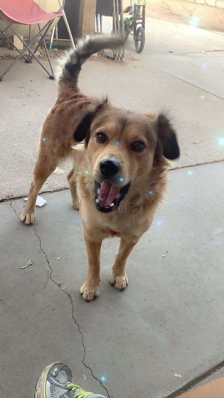 Osa, back home in California