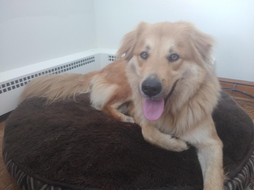 Tucker, back home in Milford CT