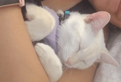 Cersei, back home in Texas