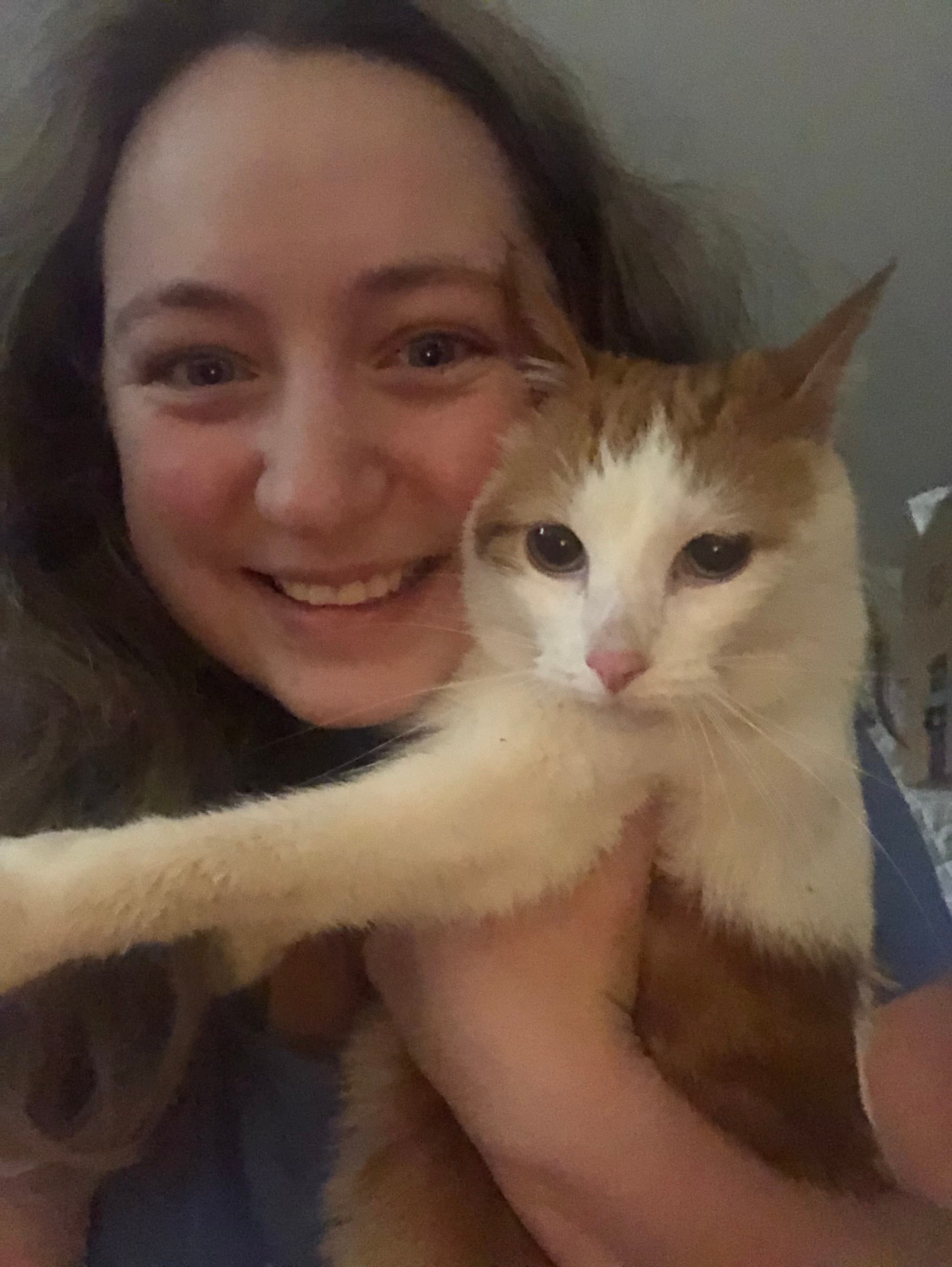 Merlin, back home in Walton KY